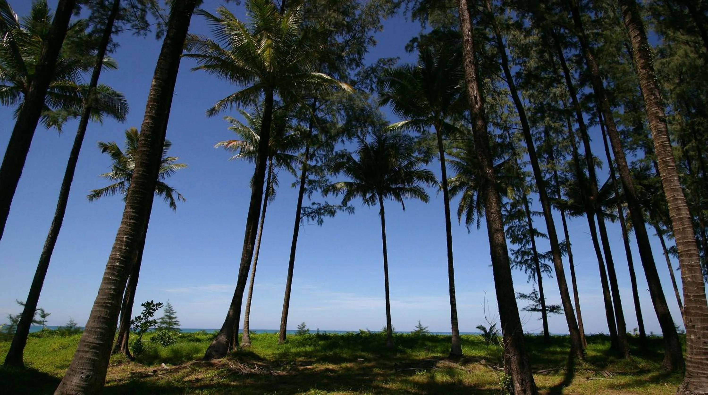 Other in Khaolak Blue Lagoon Resort - SHA Extra Plus