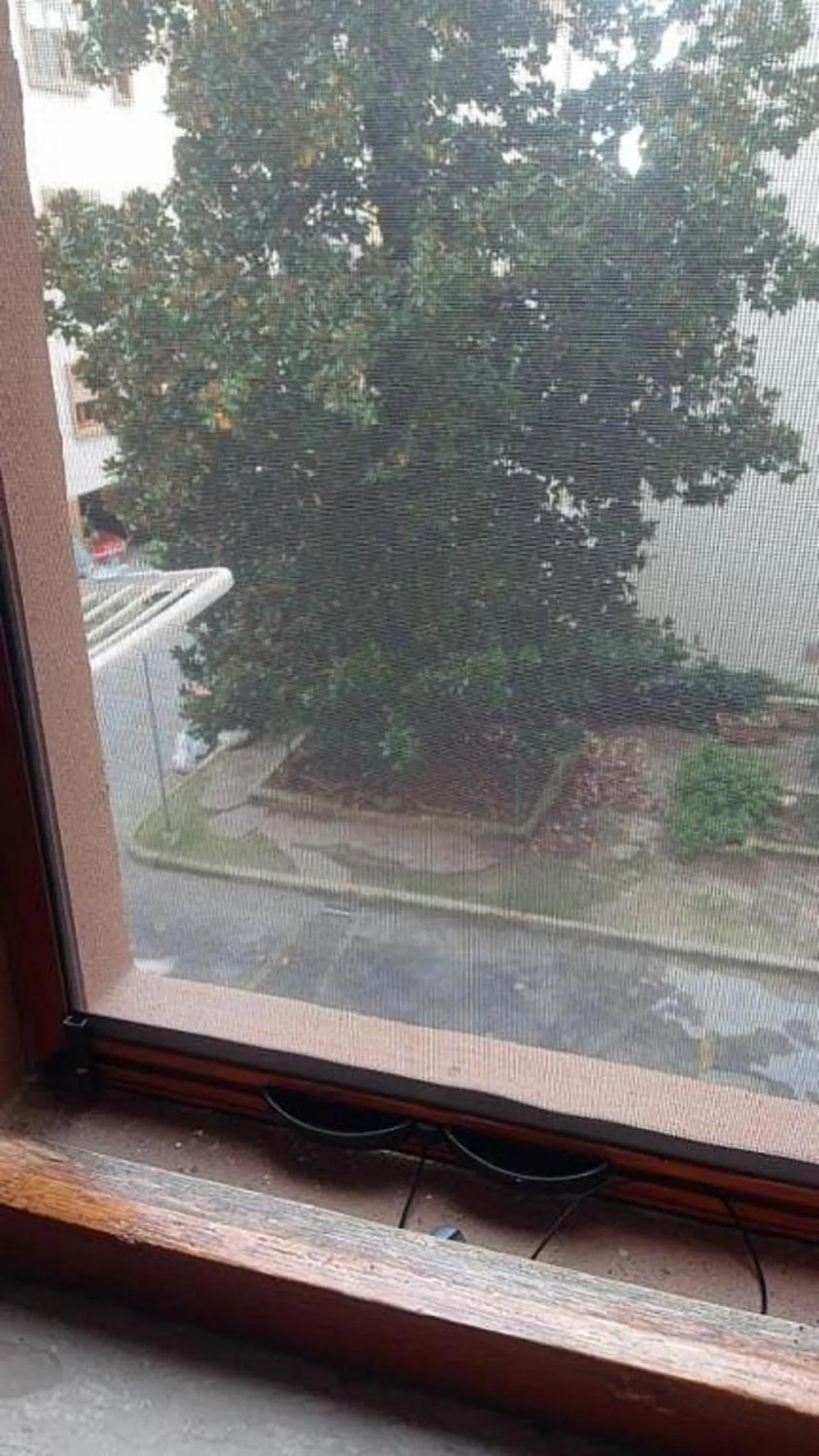 Spring in B & B Arbostella Dream Stay