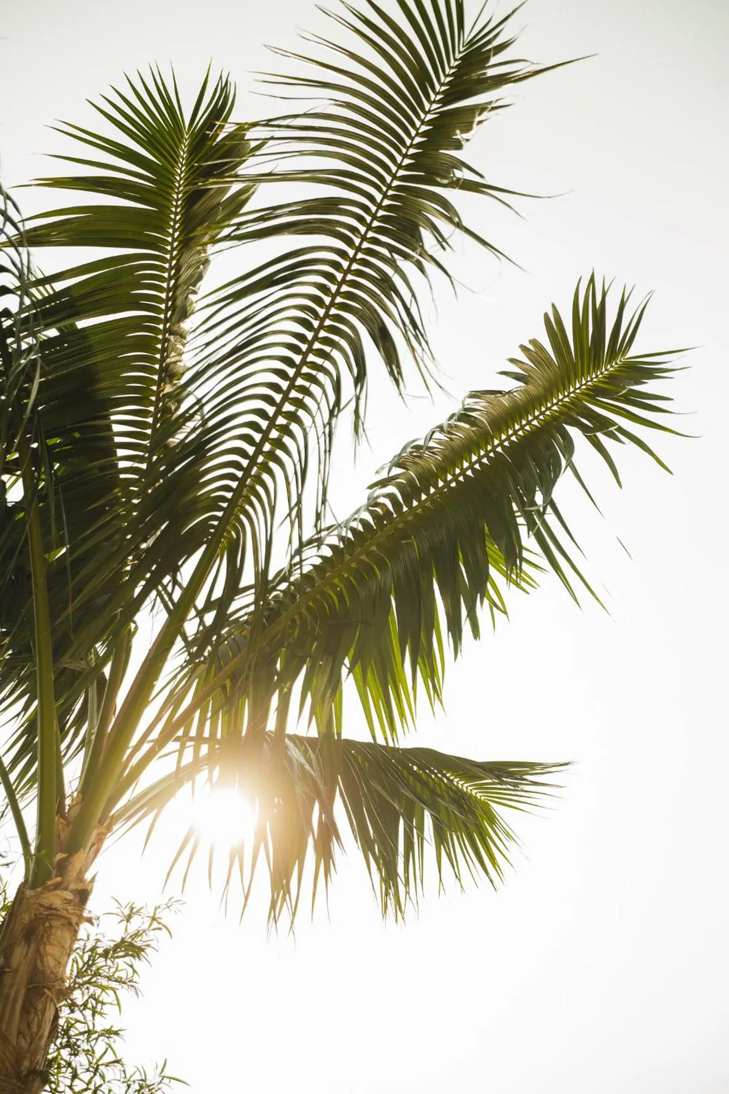 Natural landscape in The Godfrey Hotel Hollywood