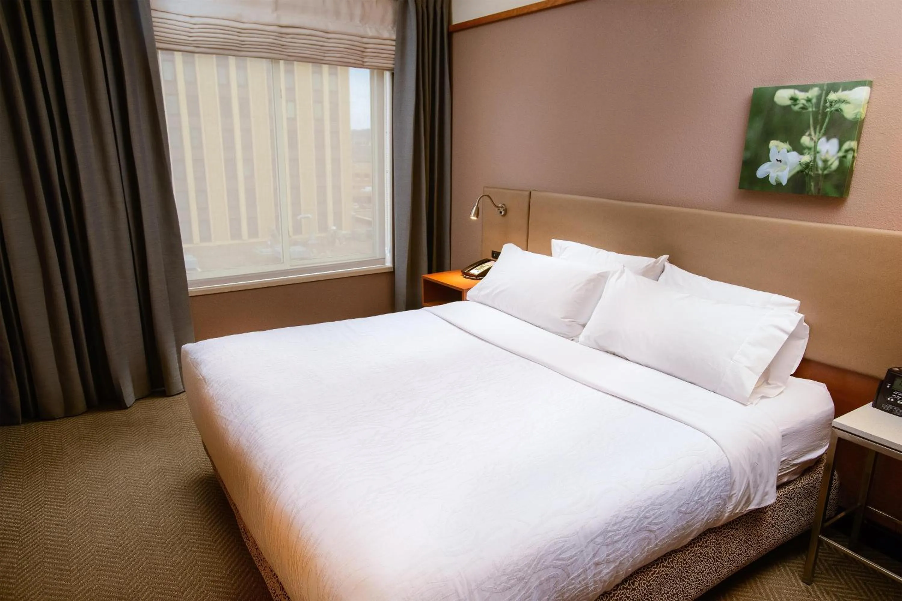 Bed in Hilton Garden Inn Rochester Downtown