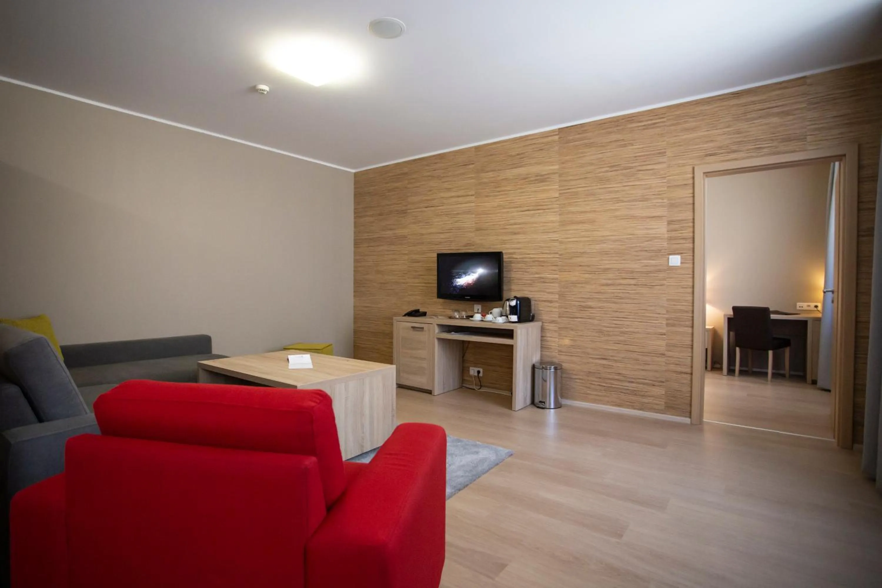 TV and multimedia in SALAMANDRA Hotel