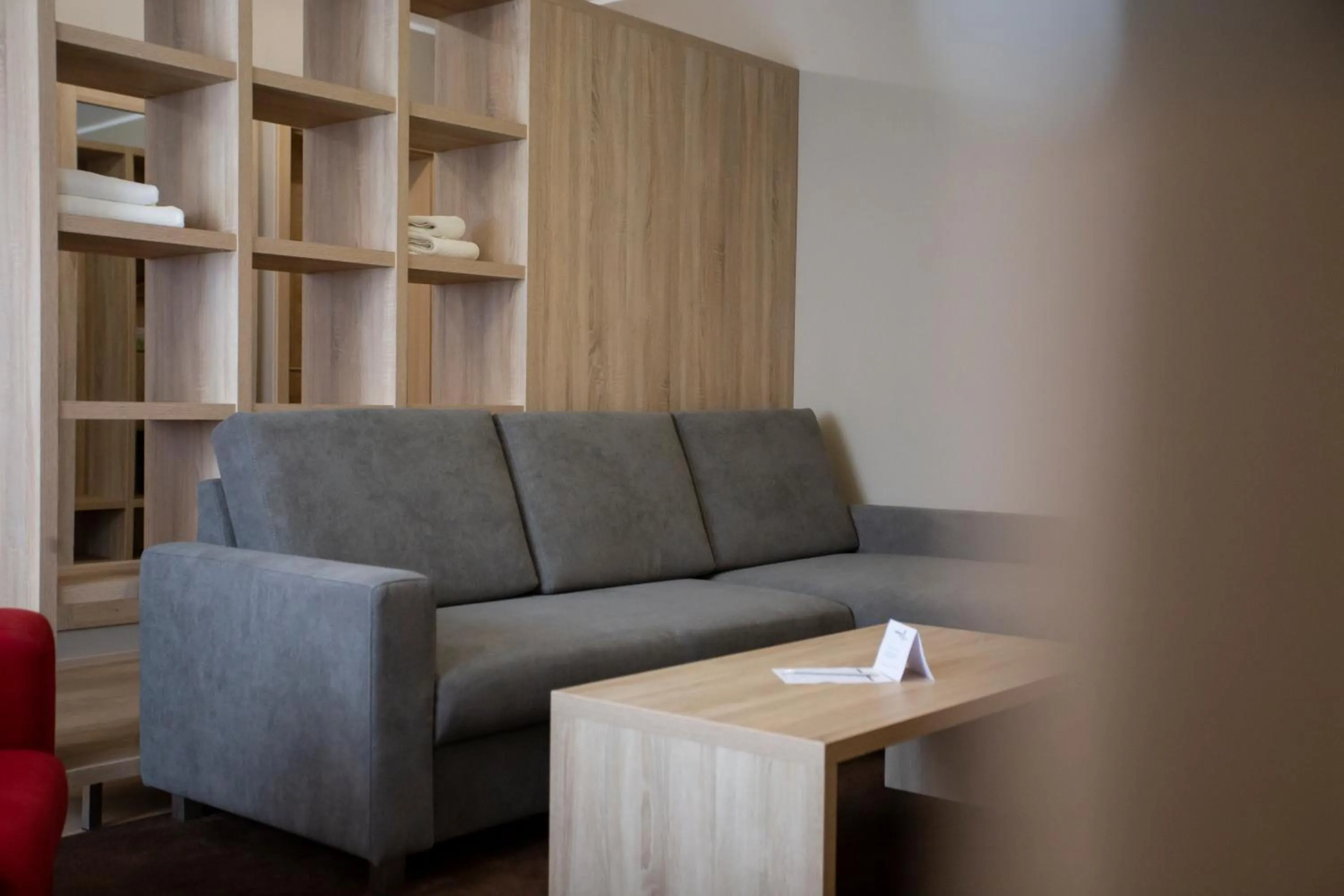 Living room in SALAMANDRA Hotel