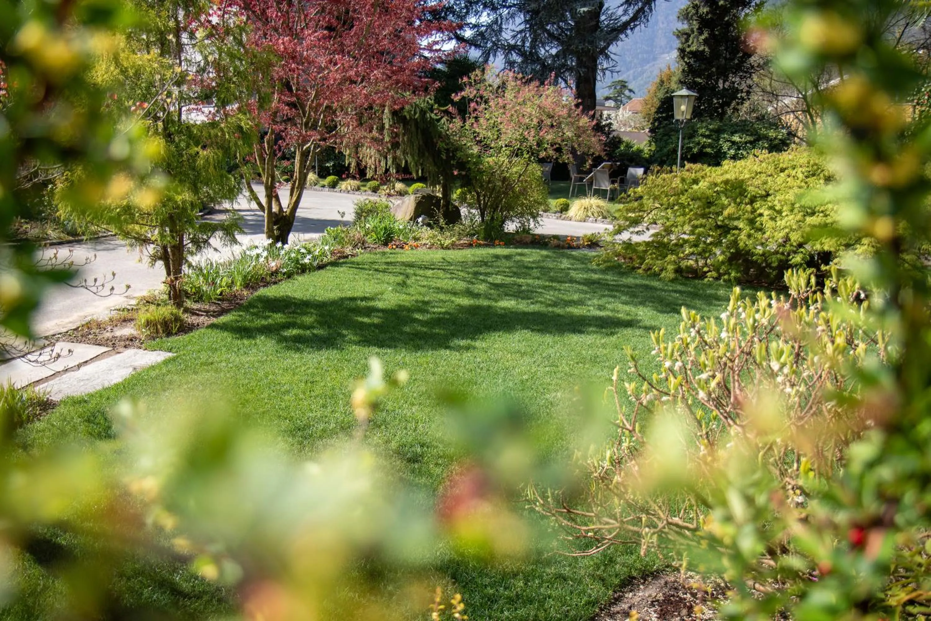 Garden in Hotel Sonnenhof