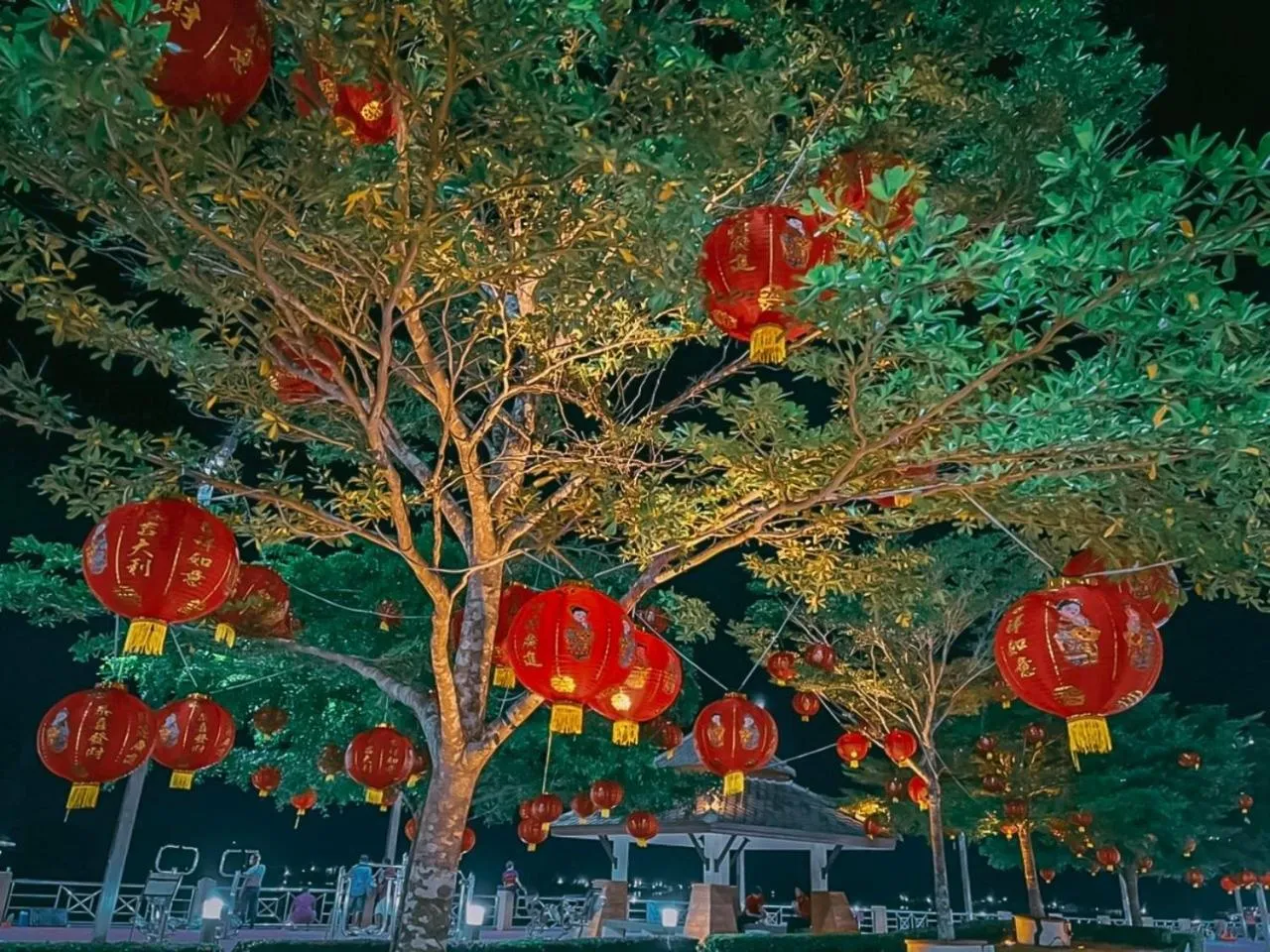 The Harbour Front Hotel