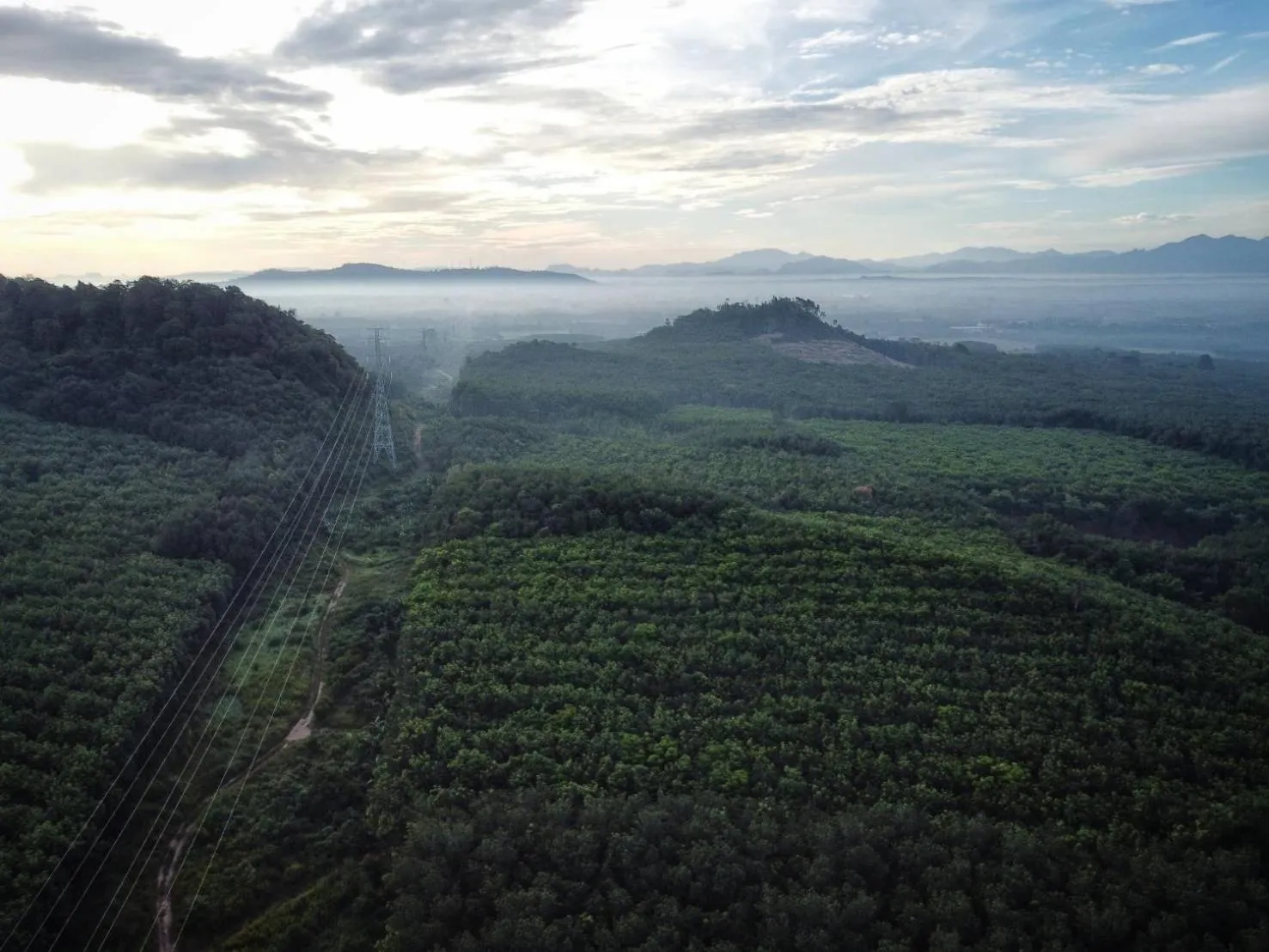 Bird's eye view in HillSide Boutique