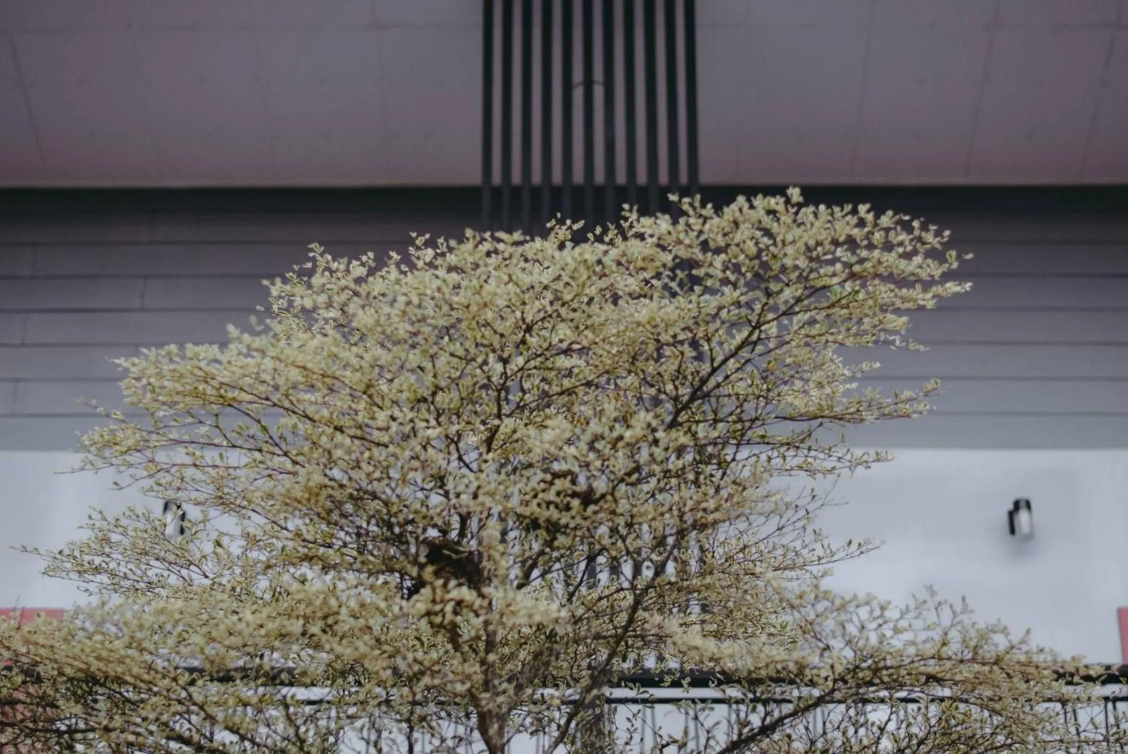 Natural landscape in HillSide Boutique