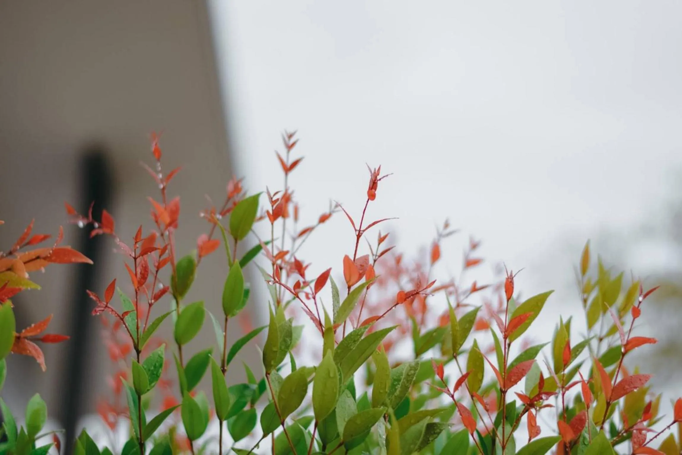 Natural landscape in HillSide Boutique