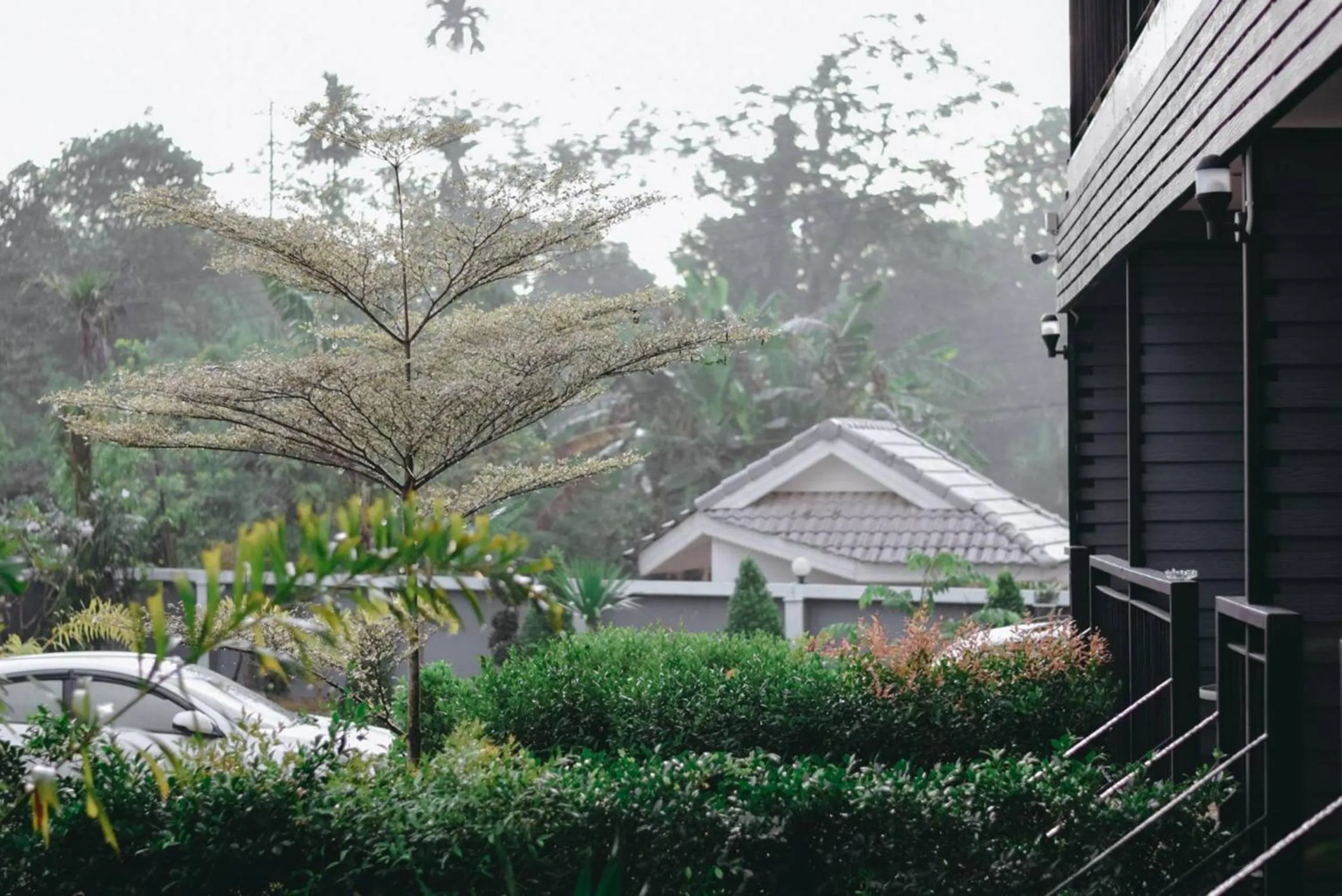 Garden in HillSide Boutique