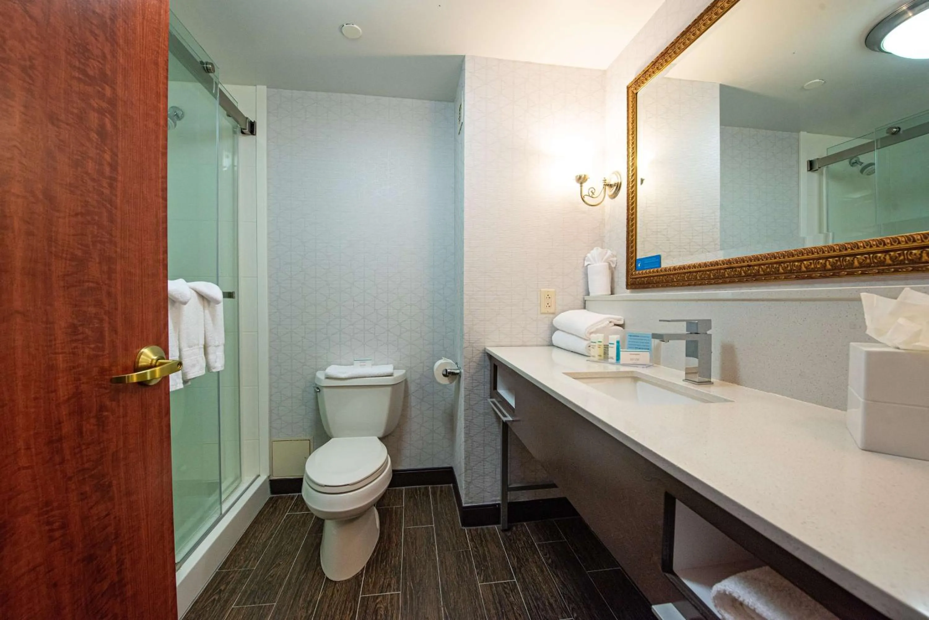 Bathroom in Hampton Inn & Suites By Hilton - Rockville Centre