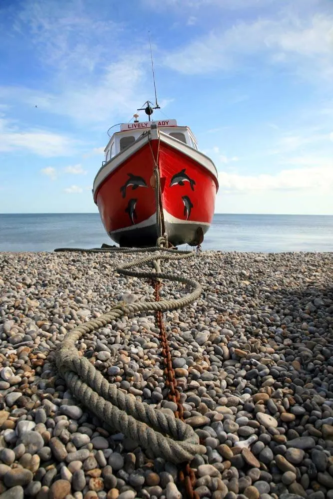 Belmont House Beer - Adults Only - Free Parking