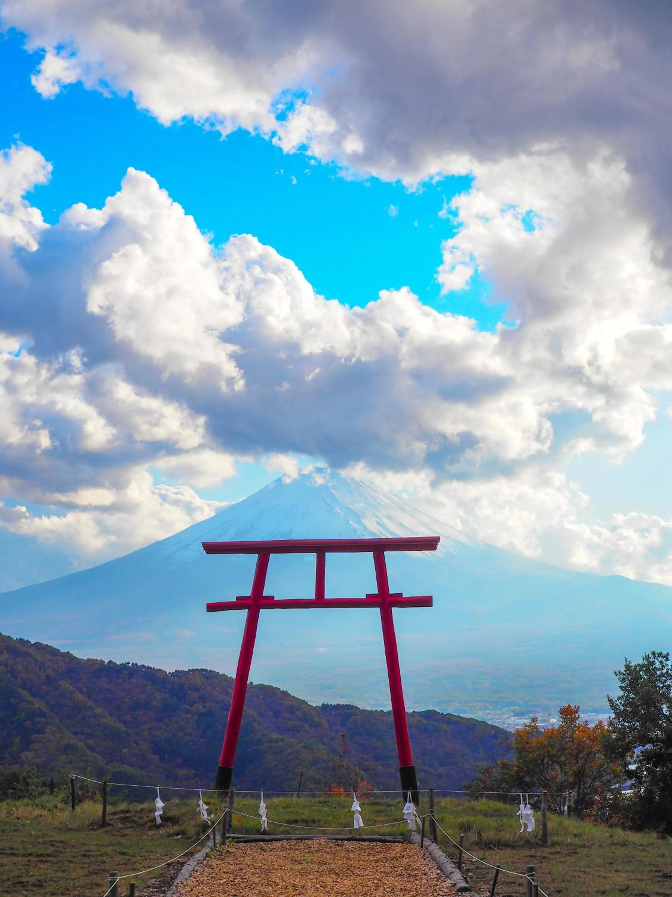 Dot Hostel&Bar 富士山