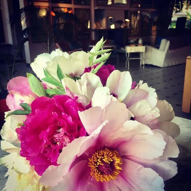 Lobby or reception in Hotel Sirenetta