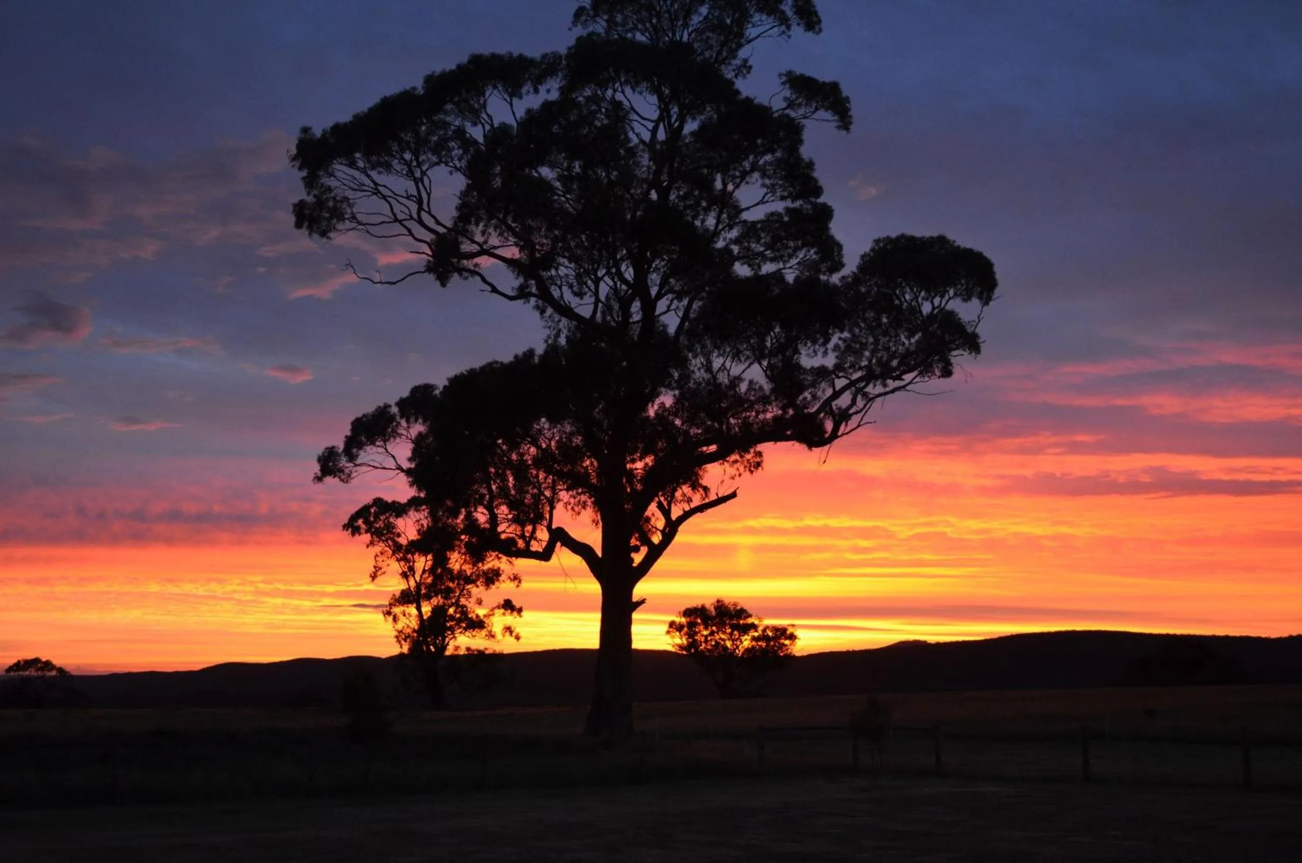 Natural landscape in Rooks Edge