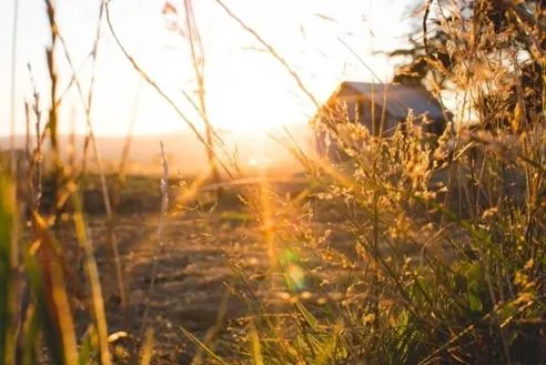 Spring in Rooks Edge