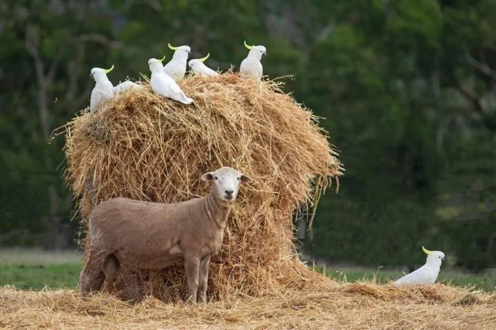 Spring in Rooks Edge
