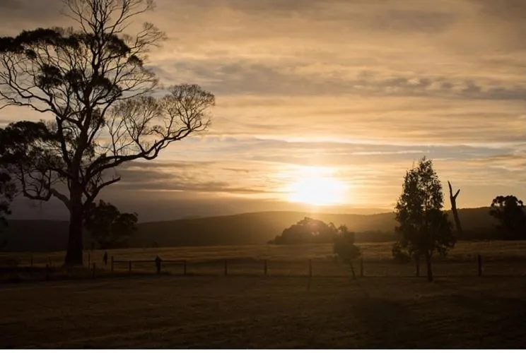 Summer in Rooks Edge