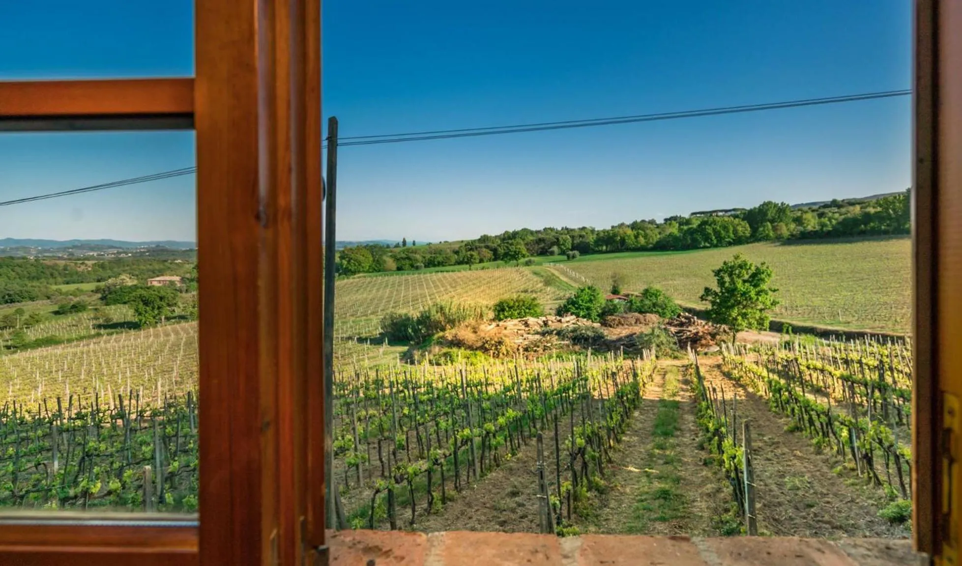 Agriturismo Palazzo Bandino - Wine cellar, on reservation restaurant and spa