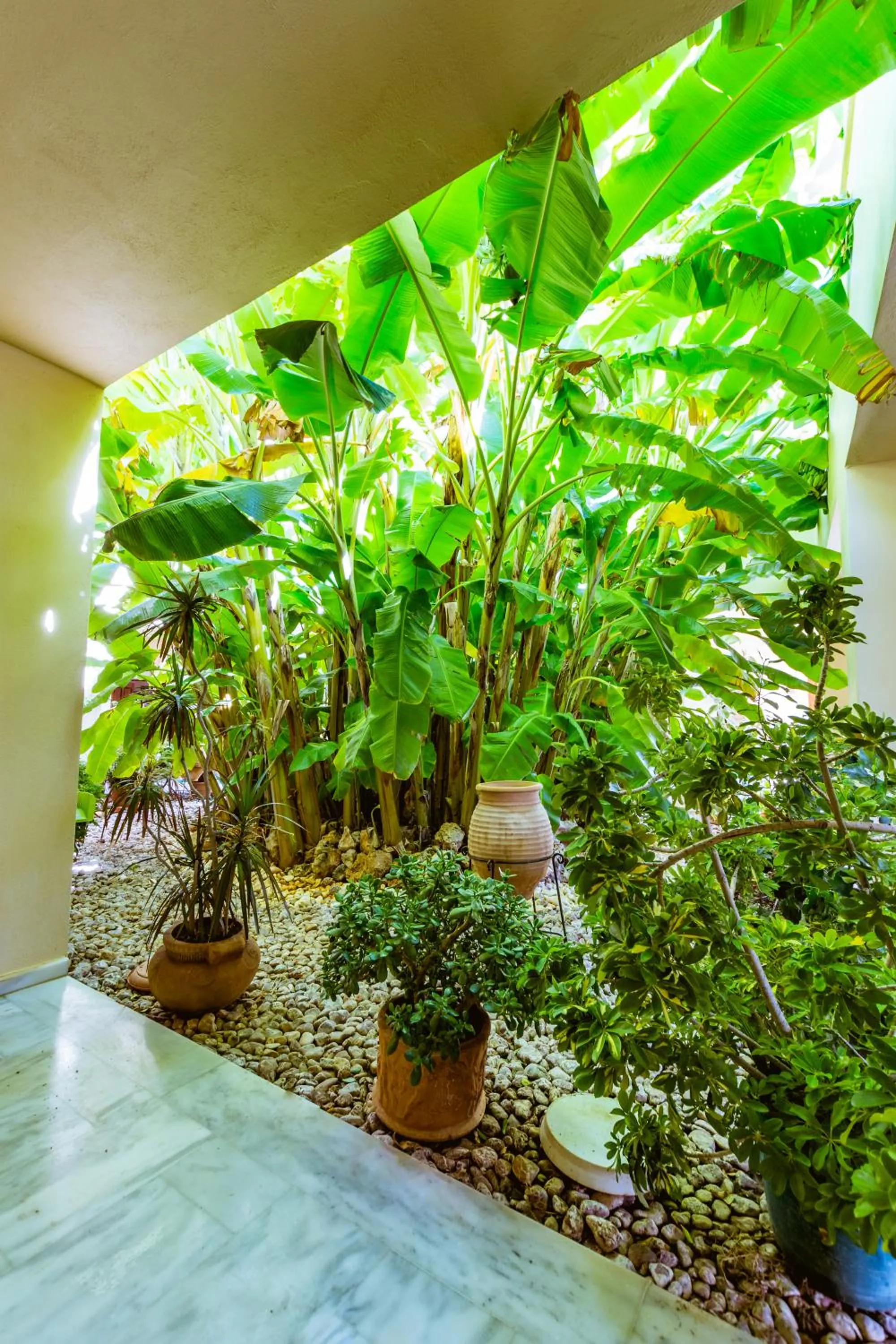 Patio in Anais Collection Hotels & Suites