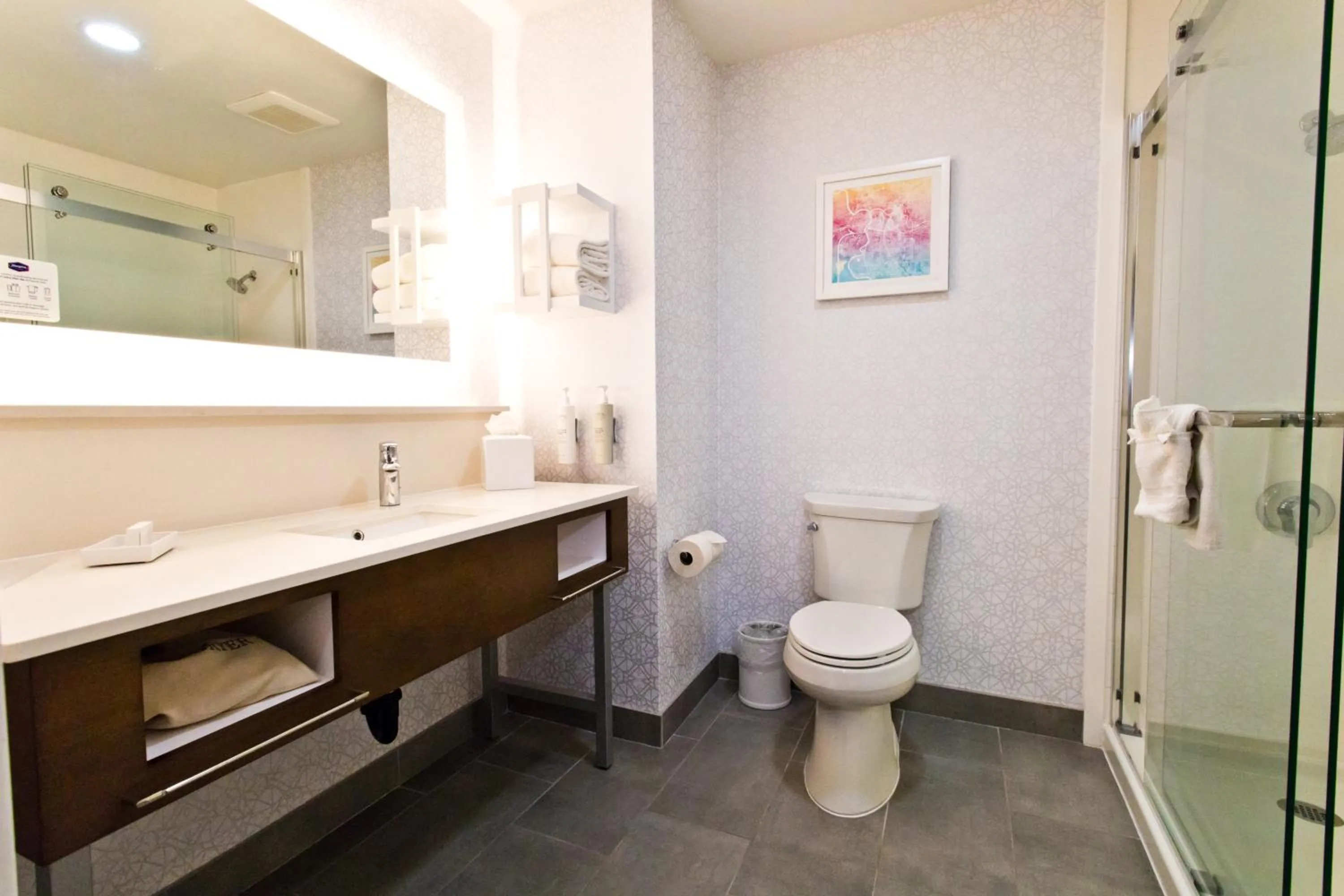 Shower in Hampton Inn & Suites Sacramento-Auburn Boulevard