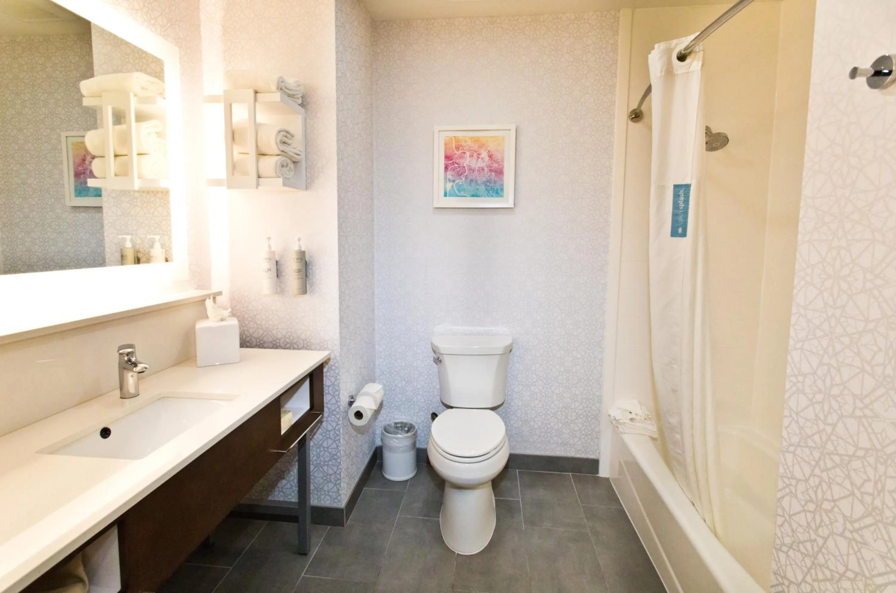 Bathroom in Hampton Inn & Suites Sacramento-Auburn Boulevard