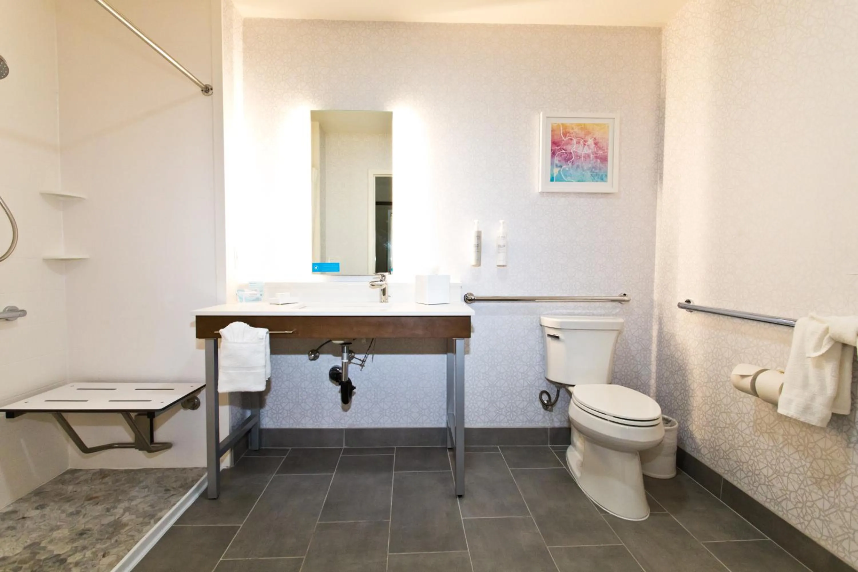 Shower in Hampton Inn & Suites Sacramento-Auburn Boulevard