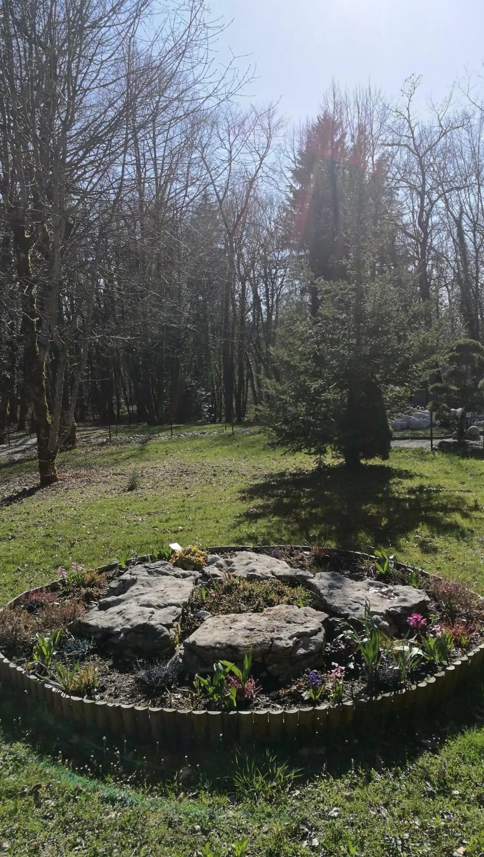 Patio in Le Bois Dormant-Hôtel Restaurant & Spa Logis Hôtel