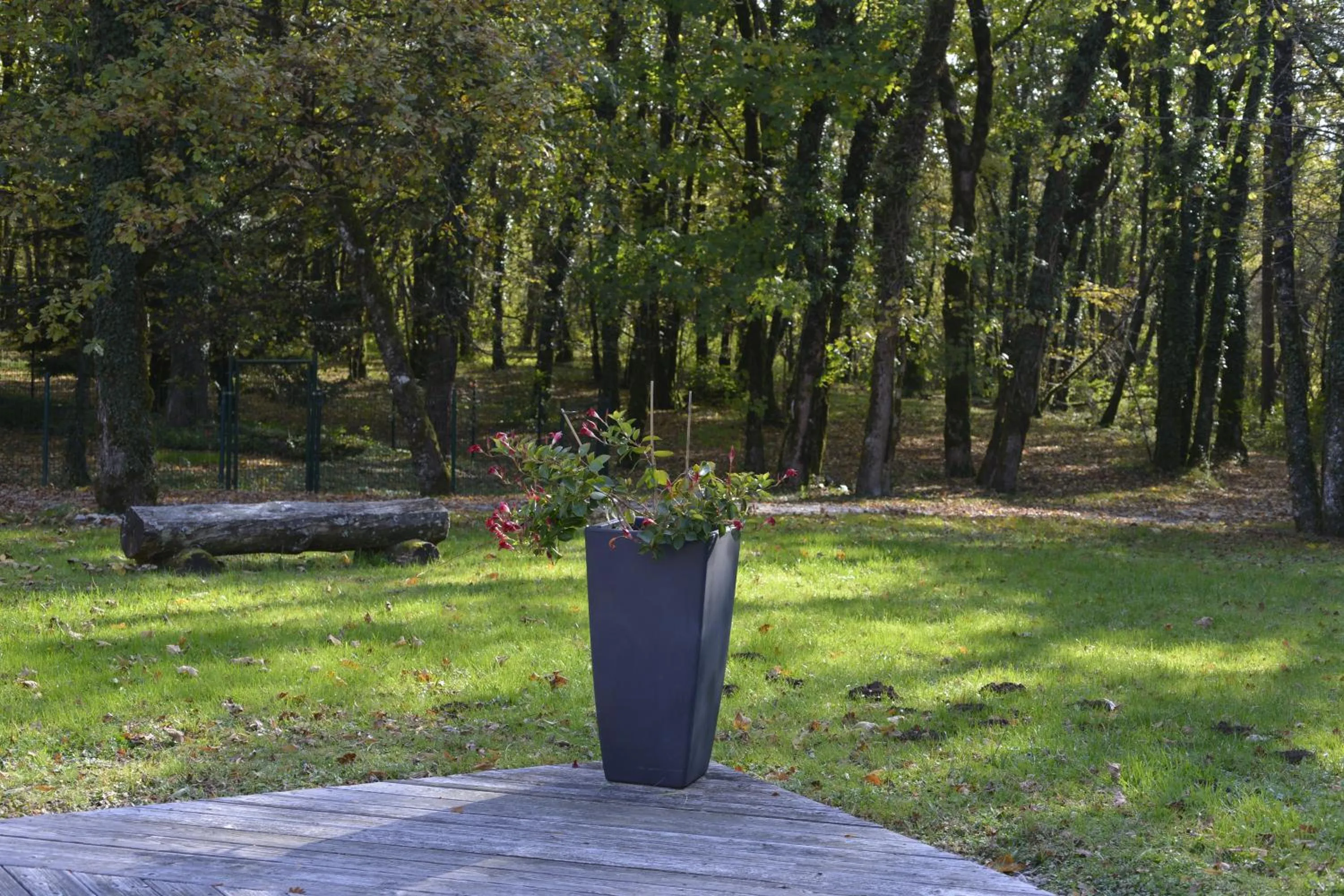 Garden in Le Bois Dormant-Hôtel Restaurant & Spa Logis Hôtel