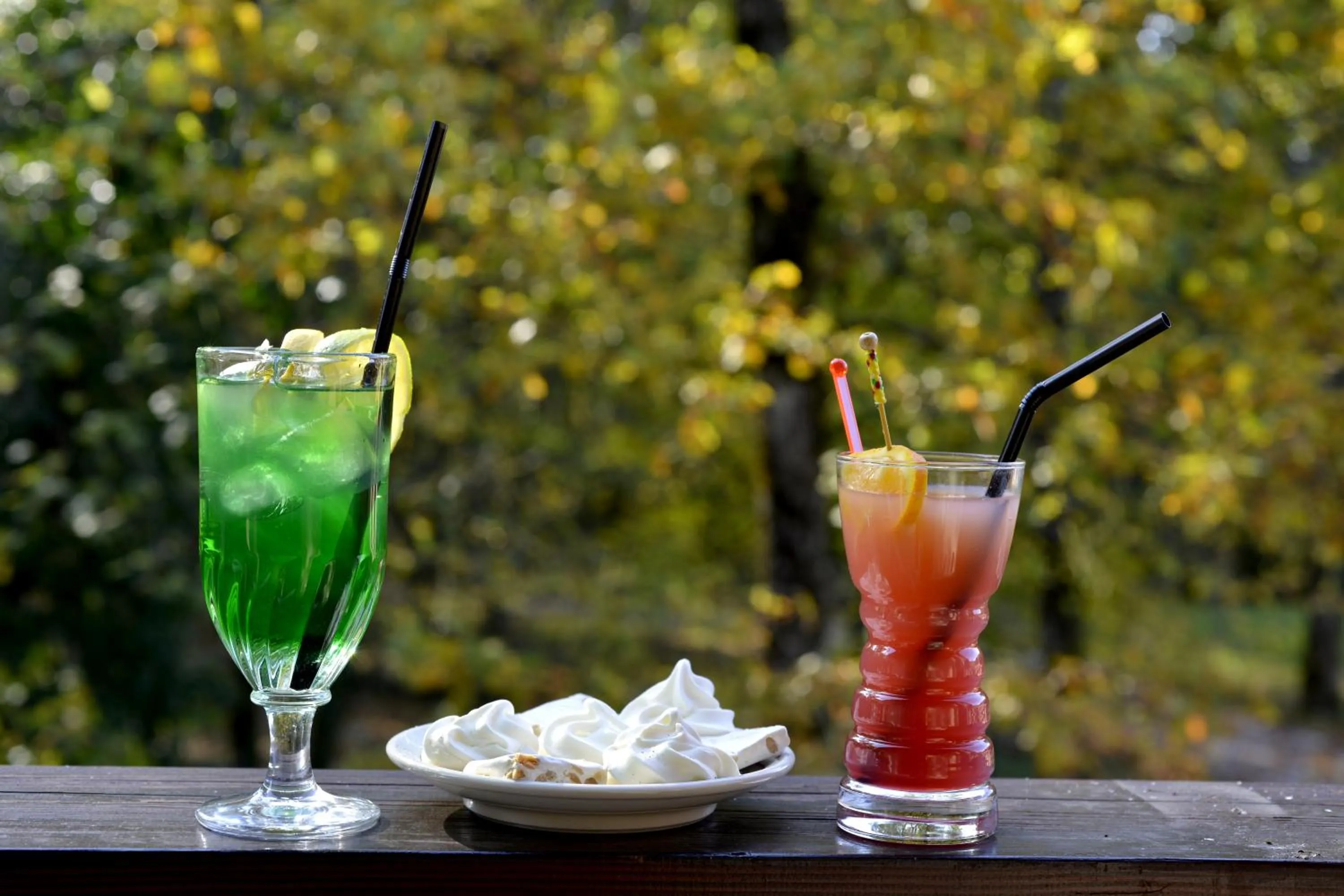 Garden view in Le Bois Dormant-Hôtel Restaurant & Spa Logis Hôtel