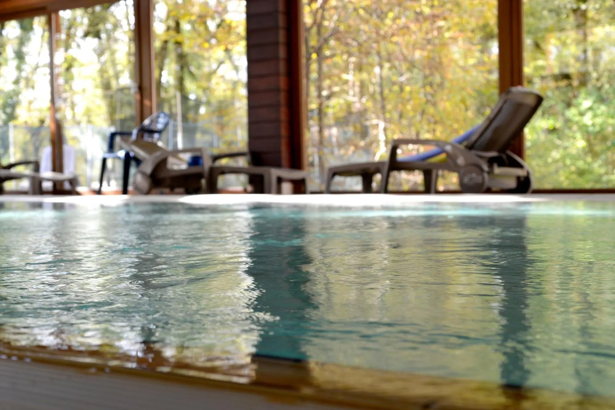 Swimming pool in Le Bois Dormant-Hôtel Restaurant & Spa Logis Hôtel