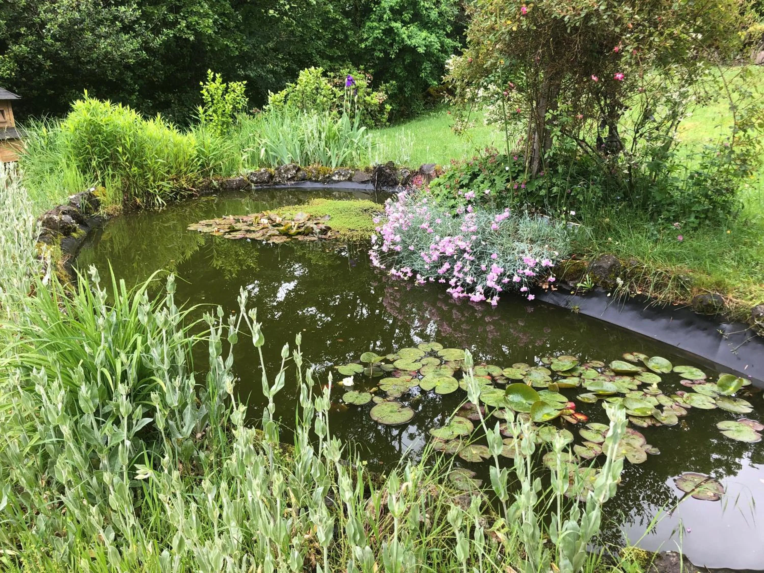 Natural landscape in Le Figarelou