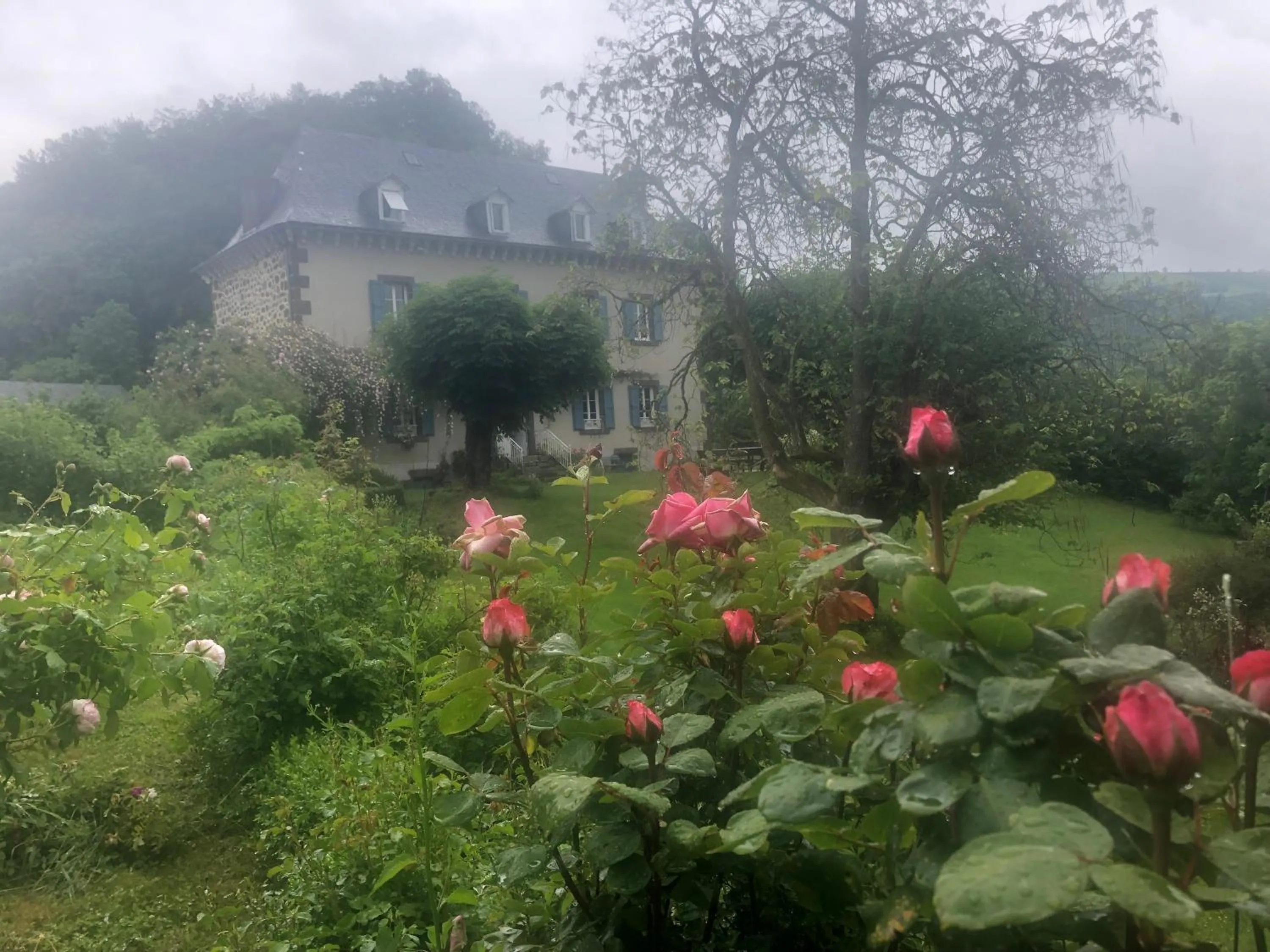 Spring in Le Figarelou