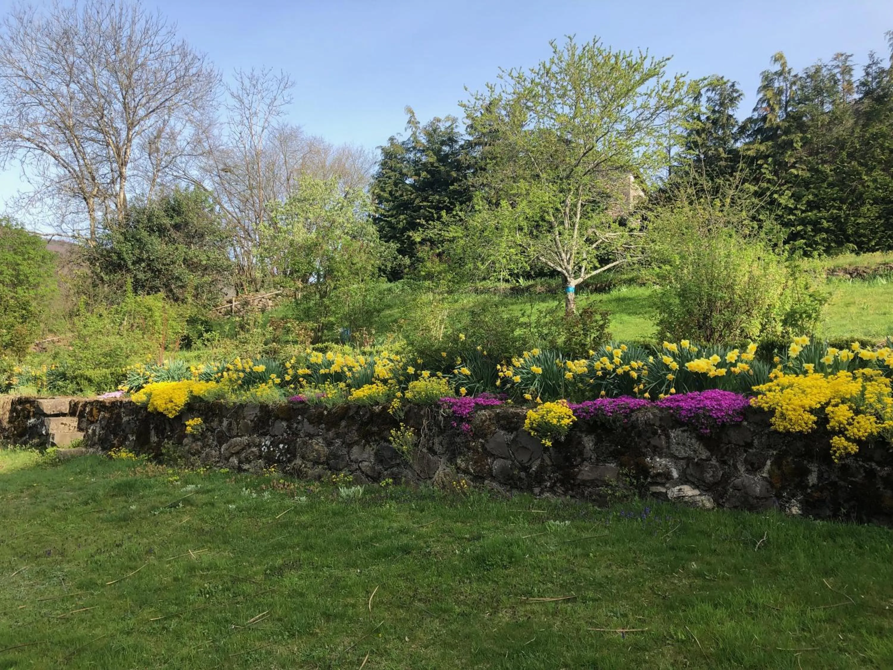Garden view in Le Figarelou