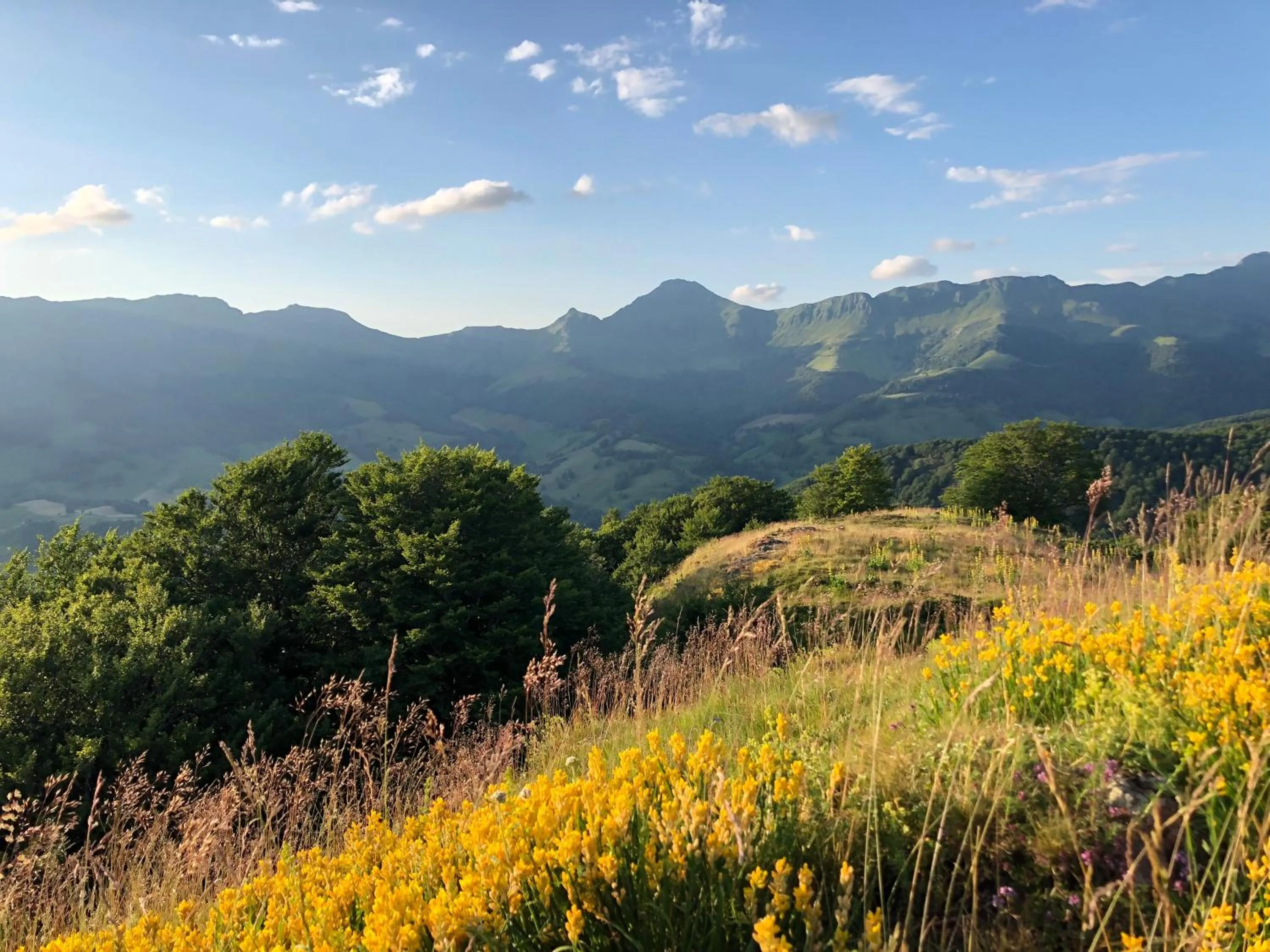 Natural landscape in Le Figarelou