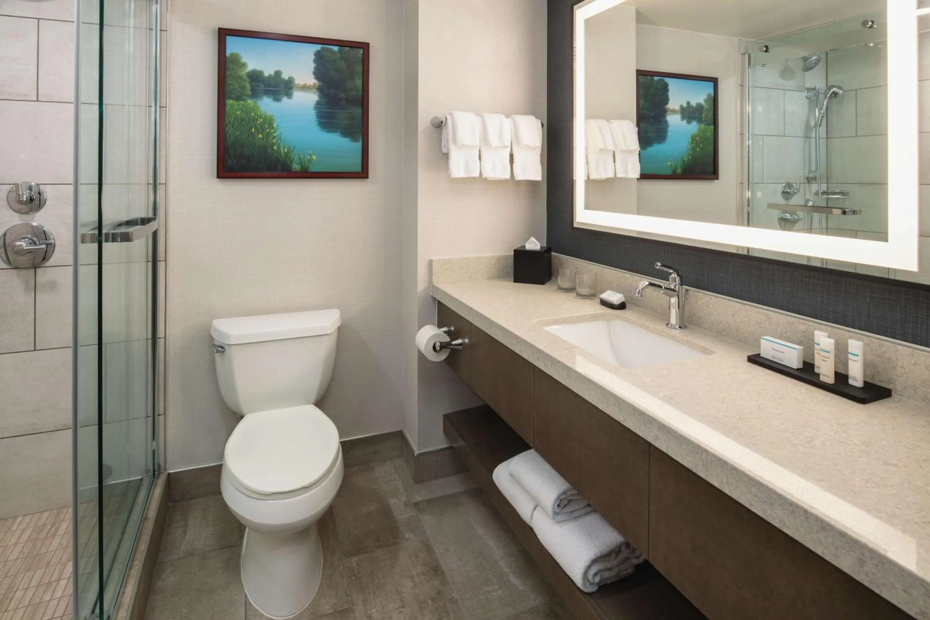 Bathroom in Embassy Suites by Hilton Sacramento Riverfront Promenade