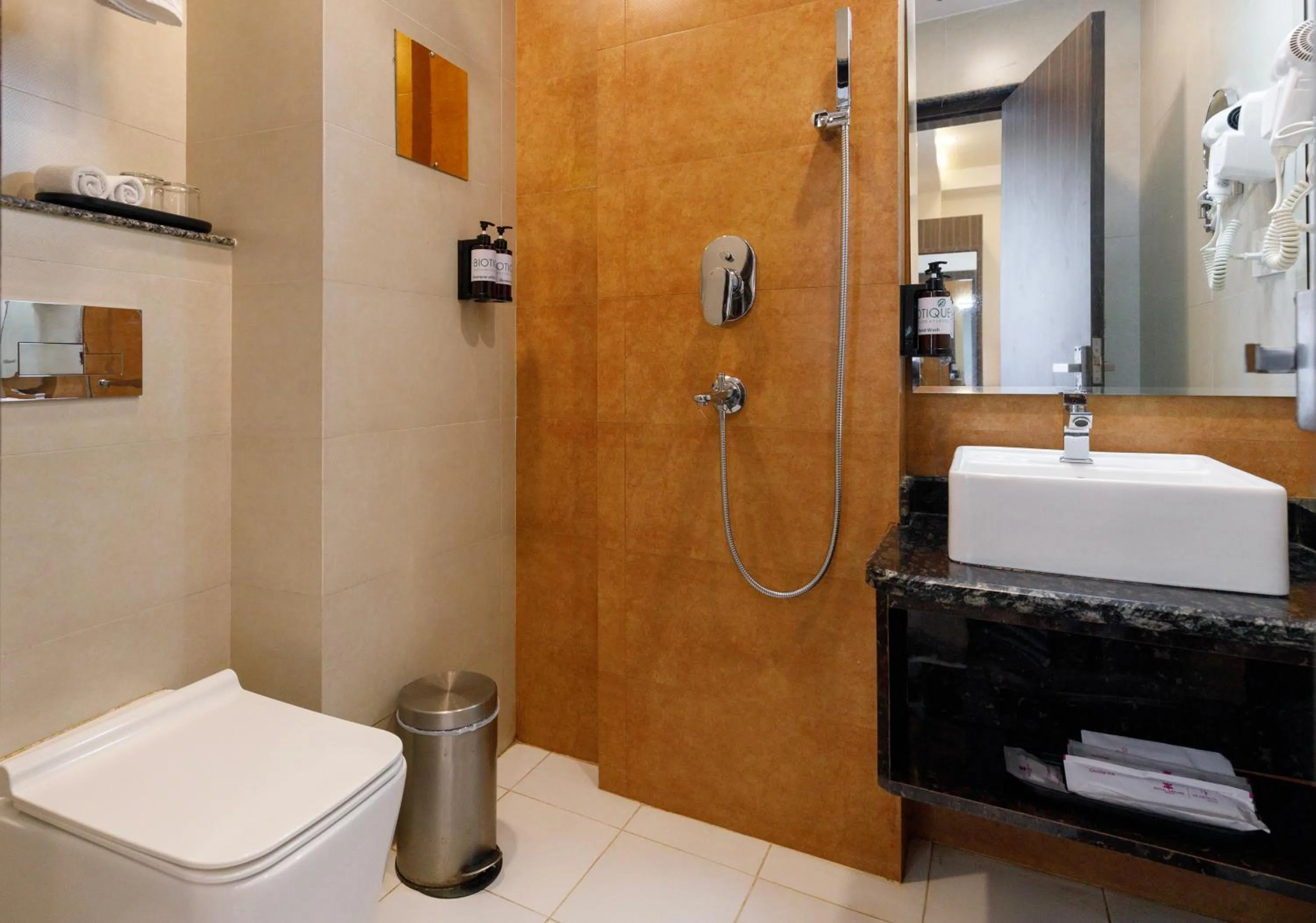 Toilet in Regenta Place Sabrina Kathmandu Nepal