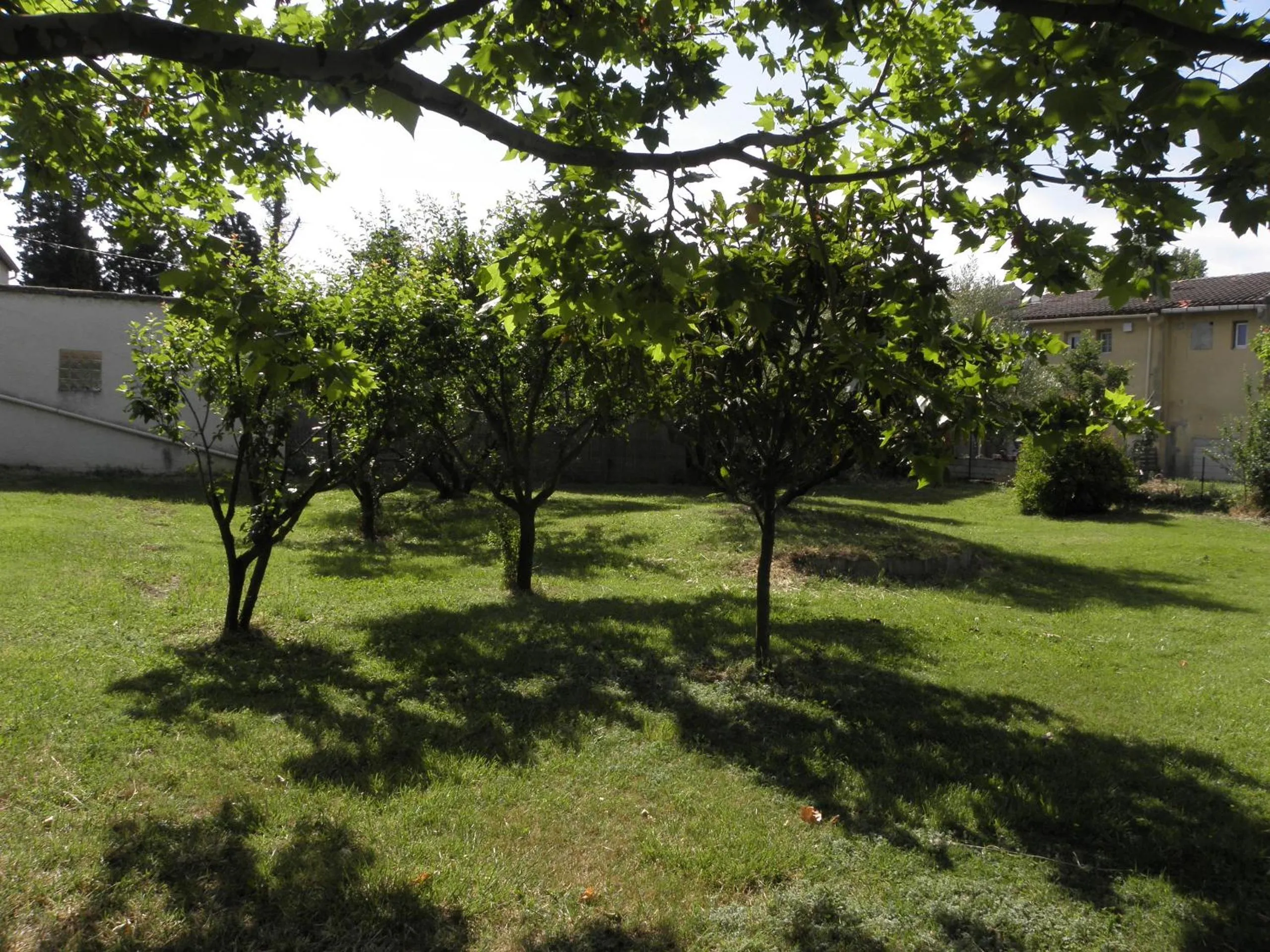 Garden in Provence Roulottes