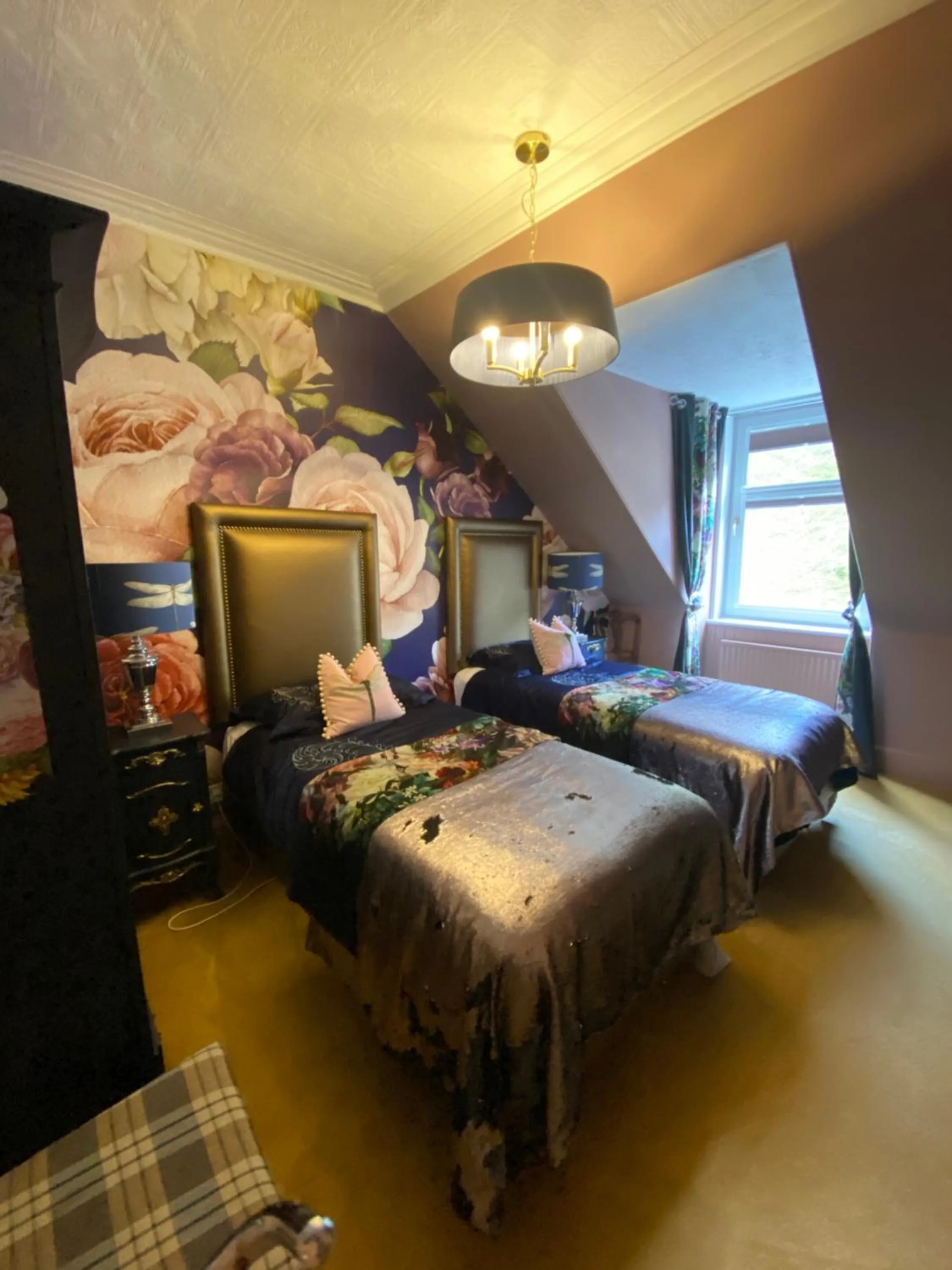 Photo of the whole room in Alltavona House