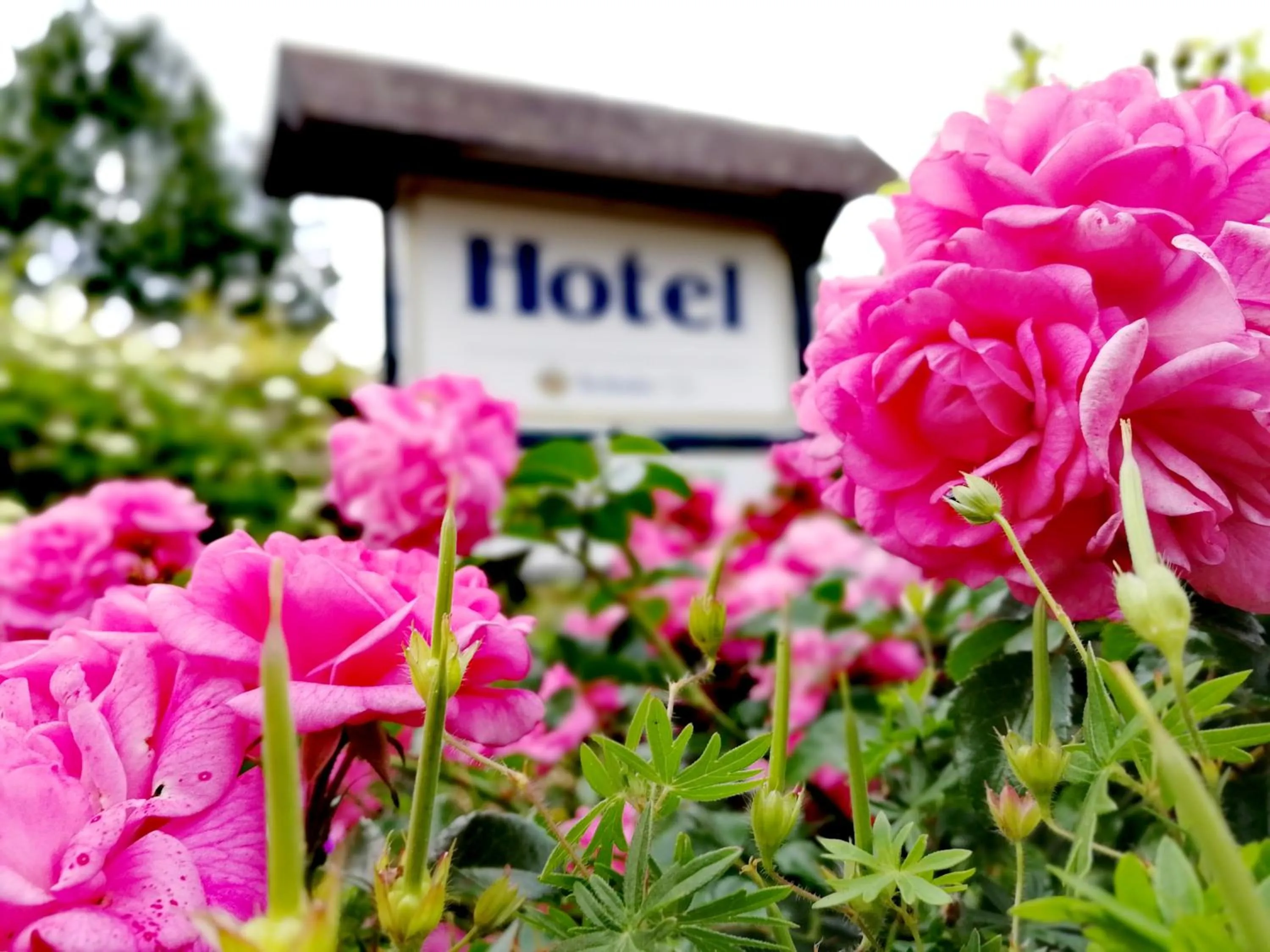 Property logo or sign in Hotel & Gasthaus Zum Domkreuger