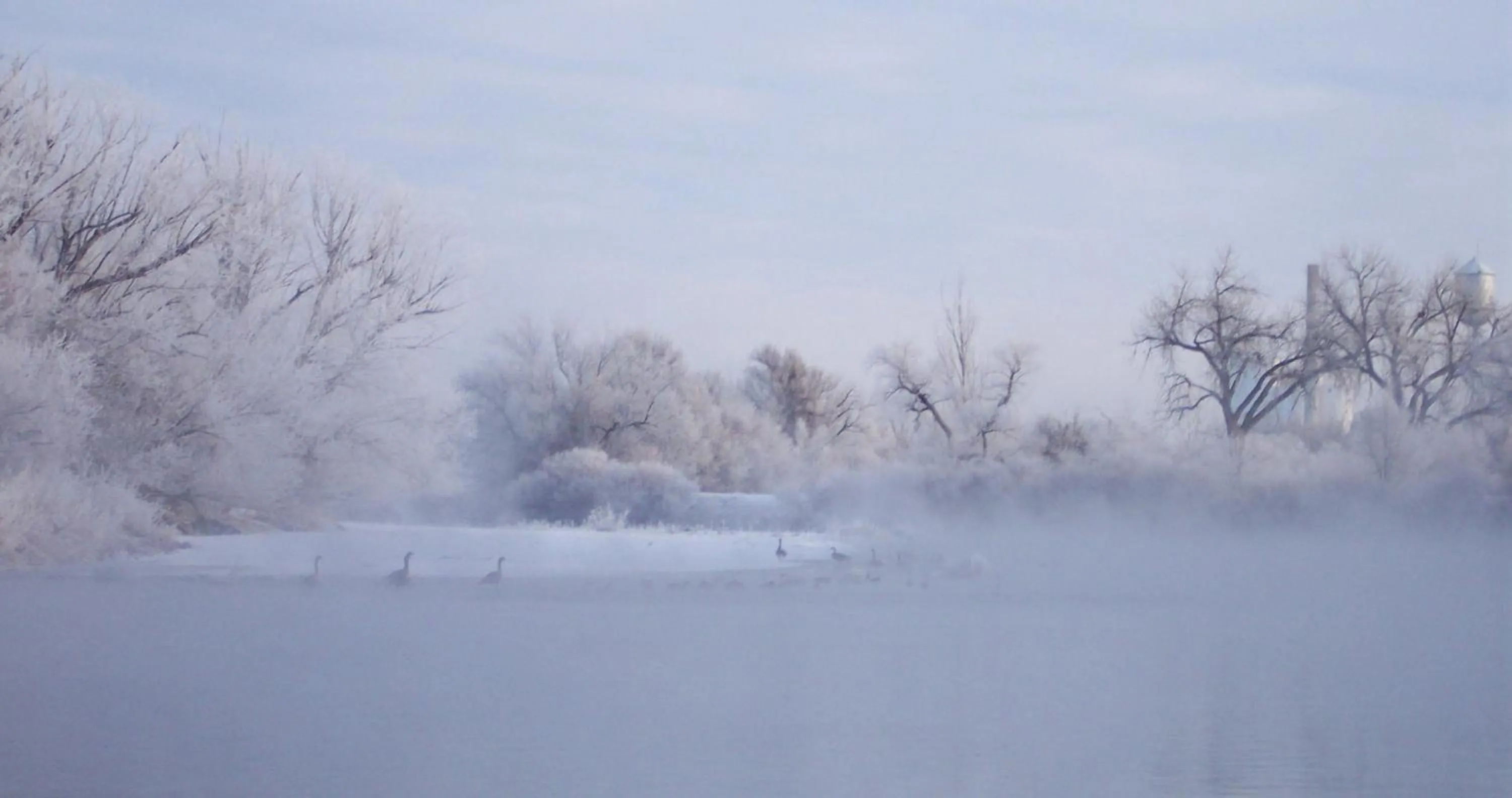 Other in Candlewood Suites Denver Northeast - Brighton by IHG