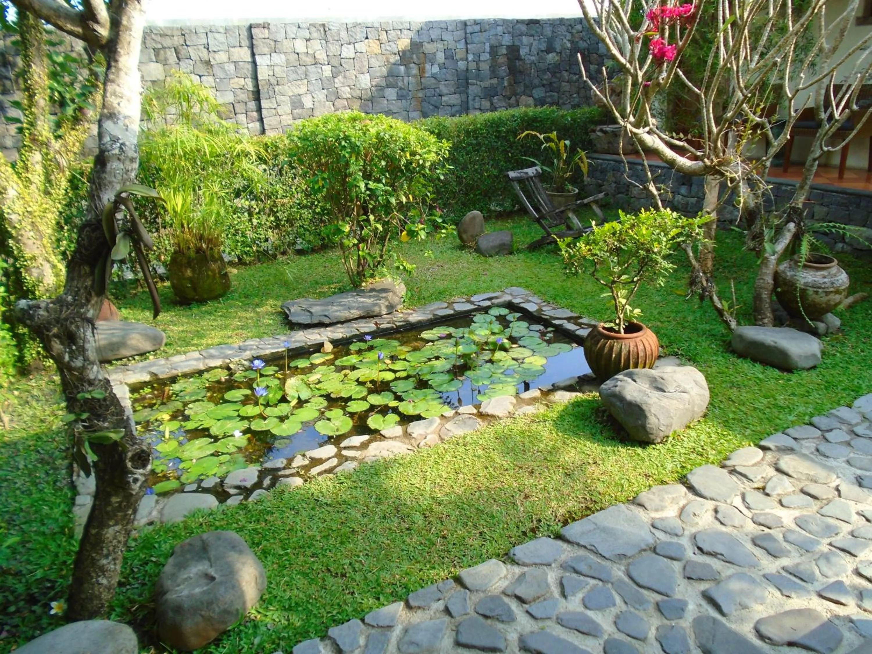 Garden in Villa Aquin
