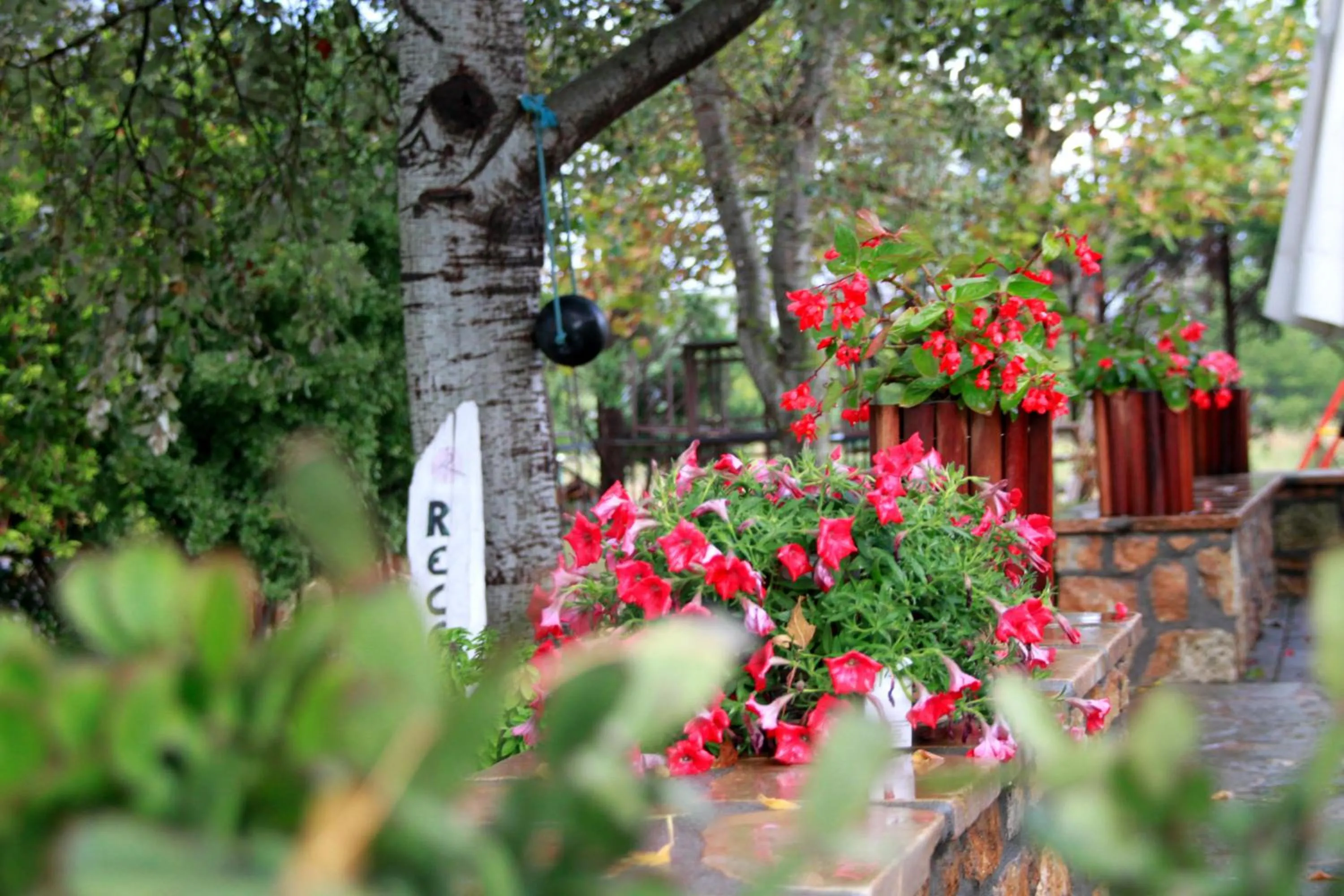 Balcony/Terrace in Akti Retzika