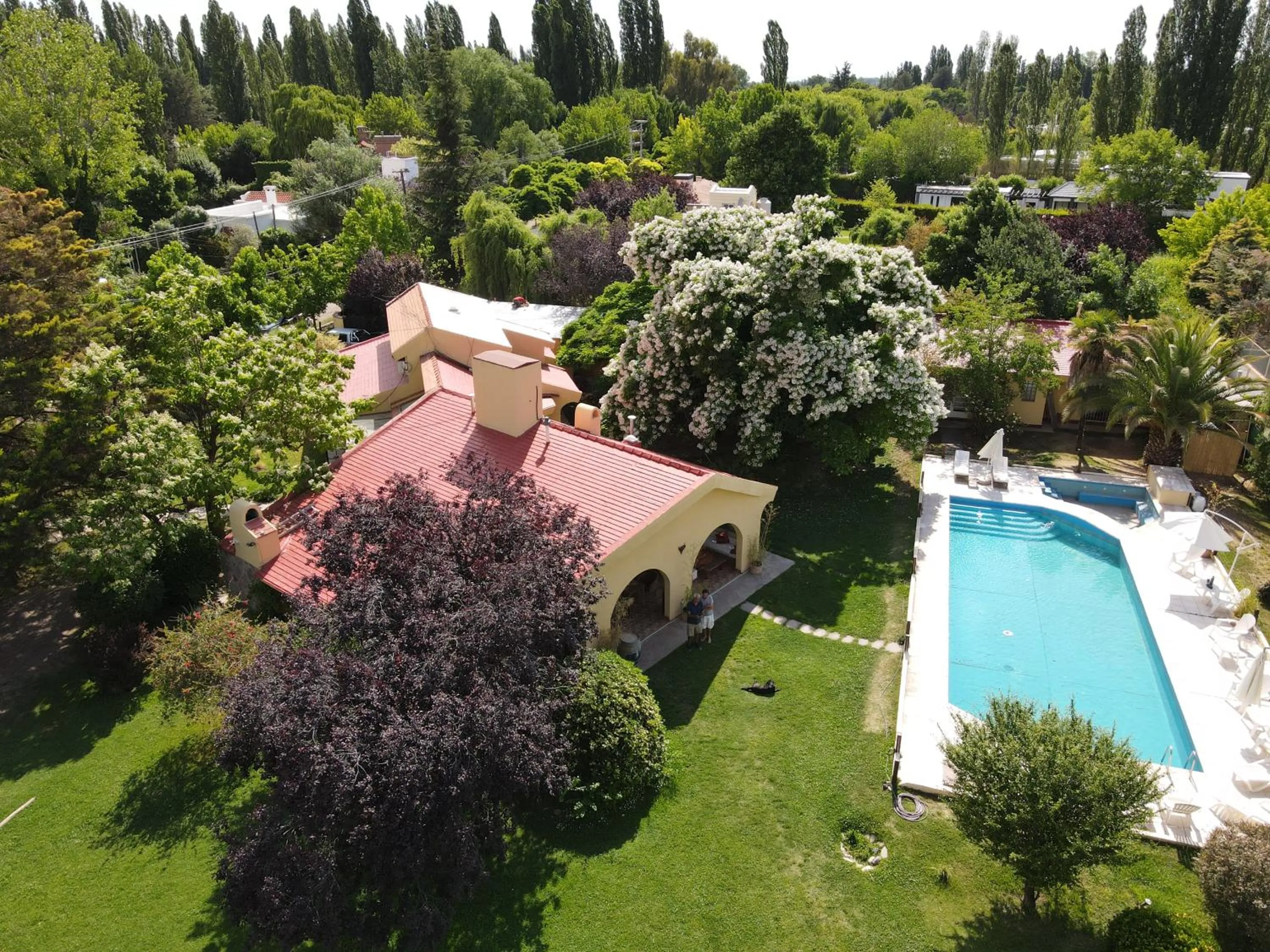 Property building in La Masia