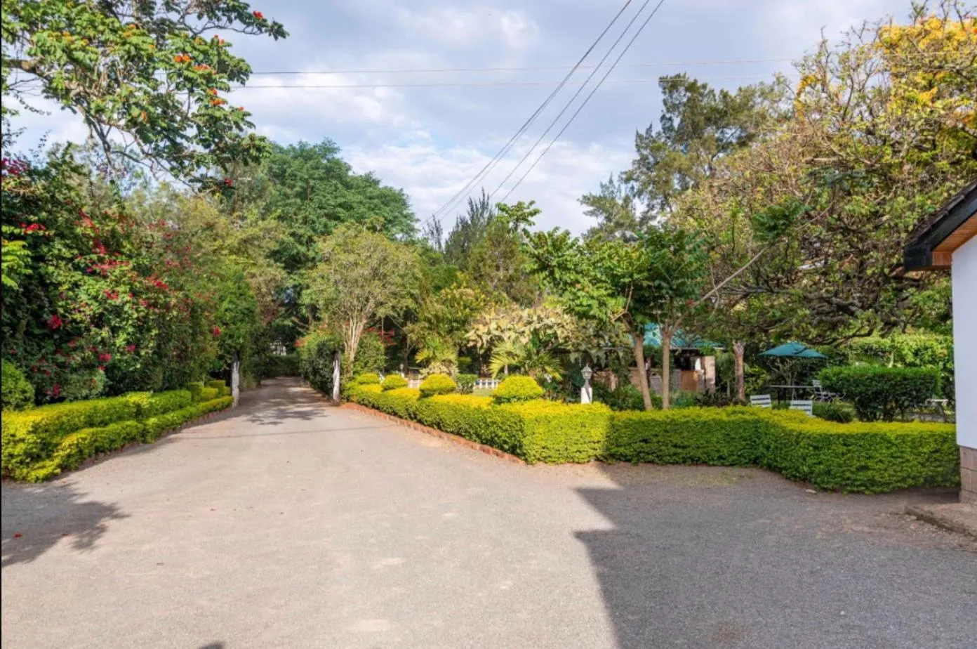 Garden in Hotel Troy