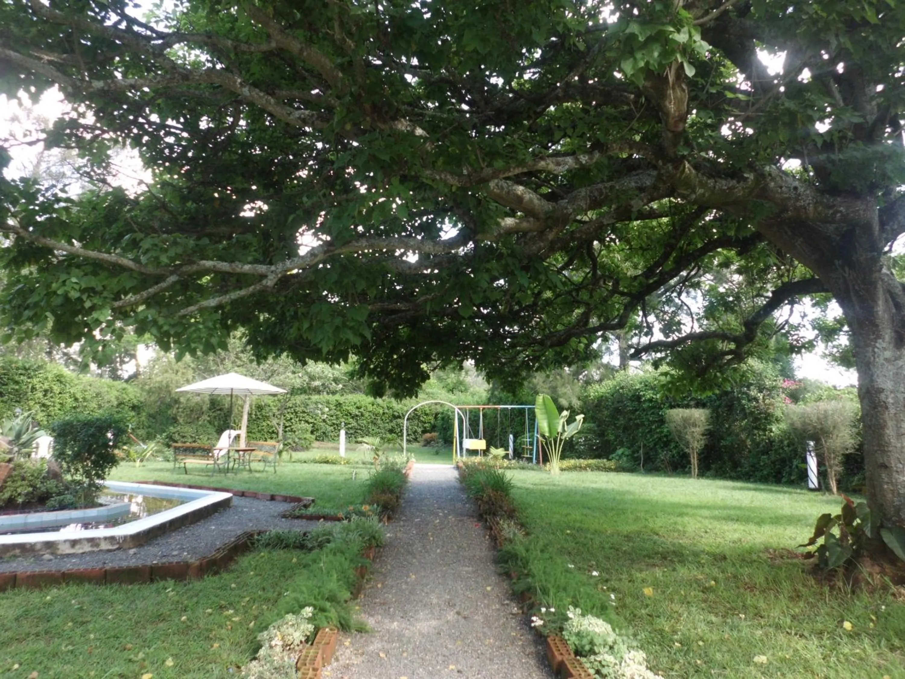 Garden in Hotel Troy