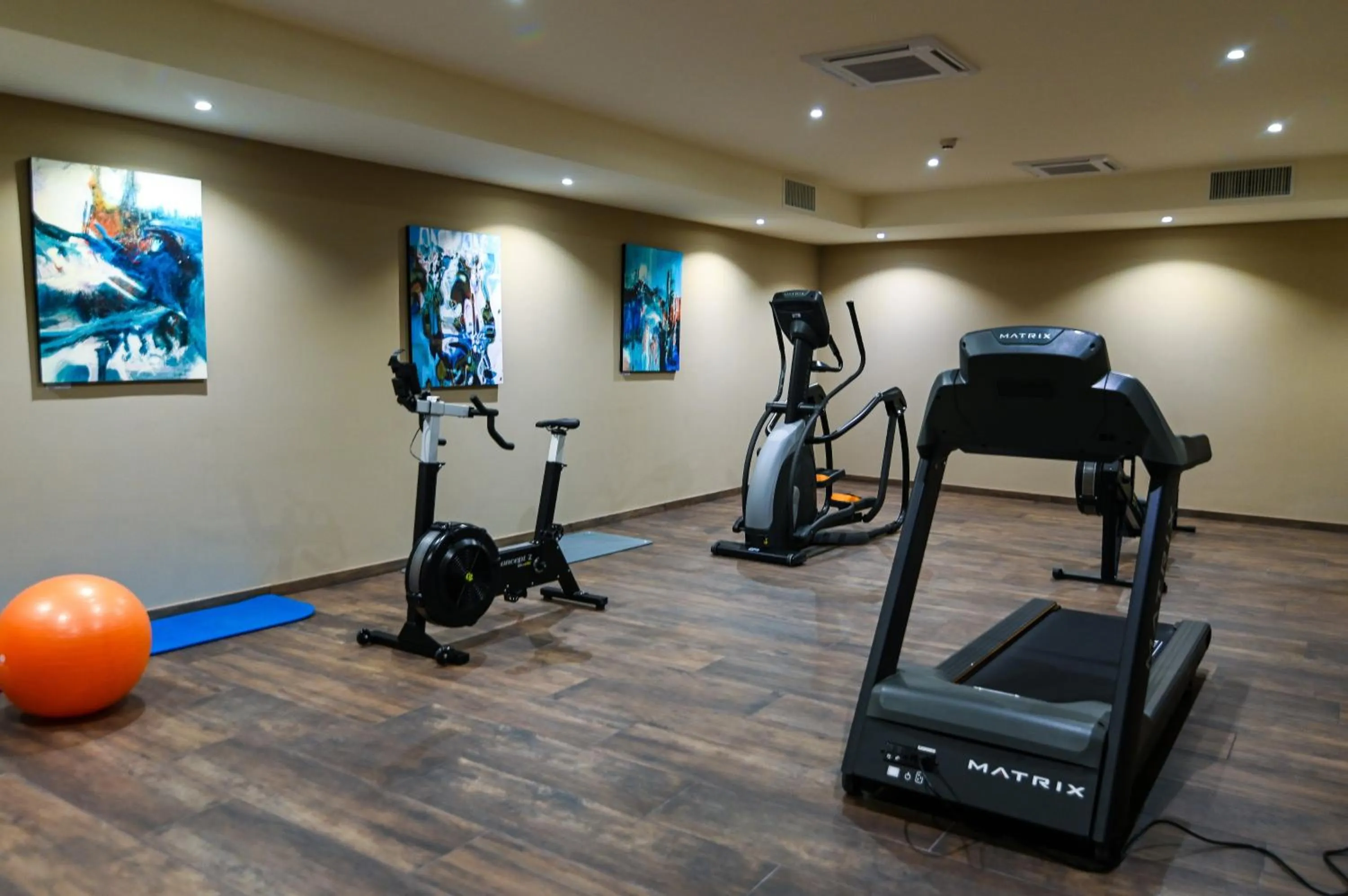 Fitness centre/facilities in Hôtel Spa Marotte