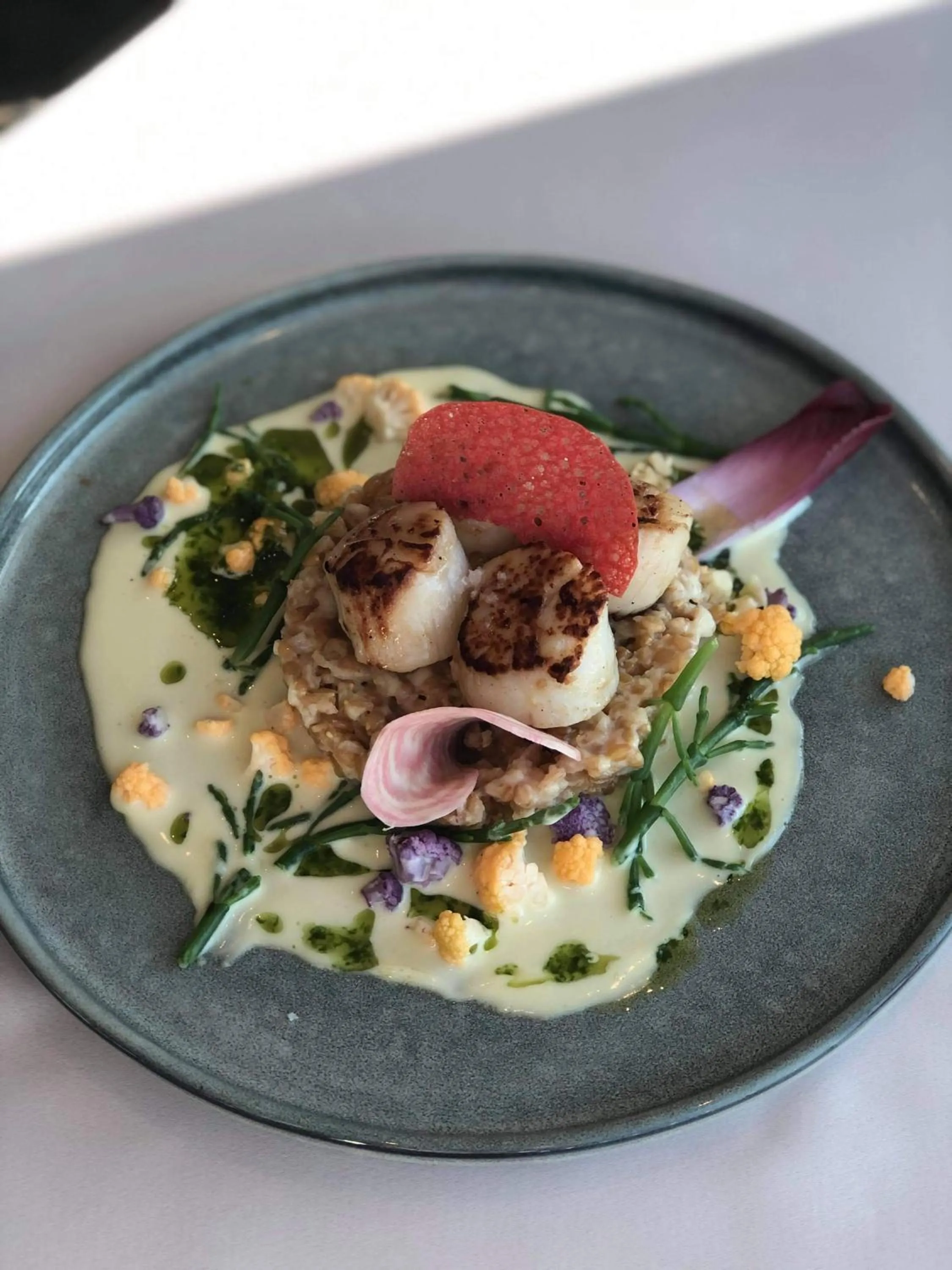 Restaurant/places to eat in Hotel Europa