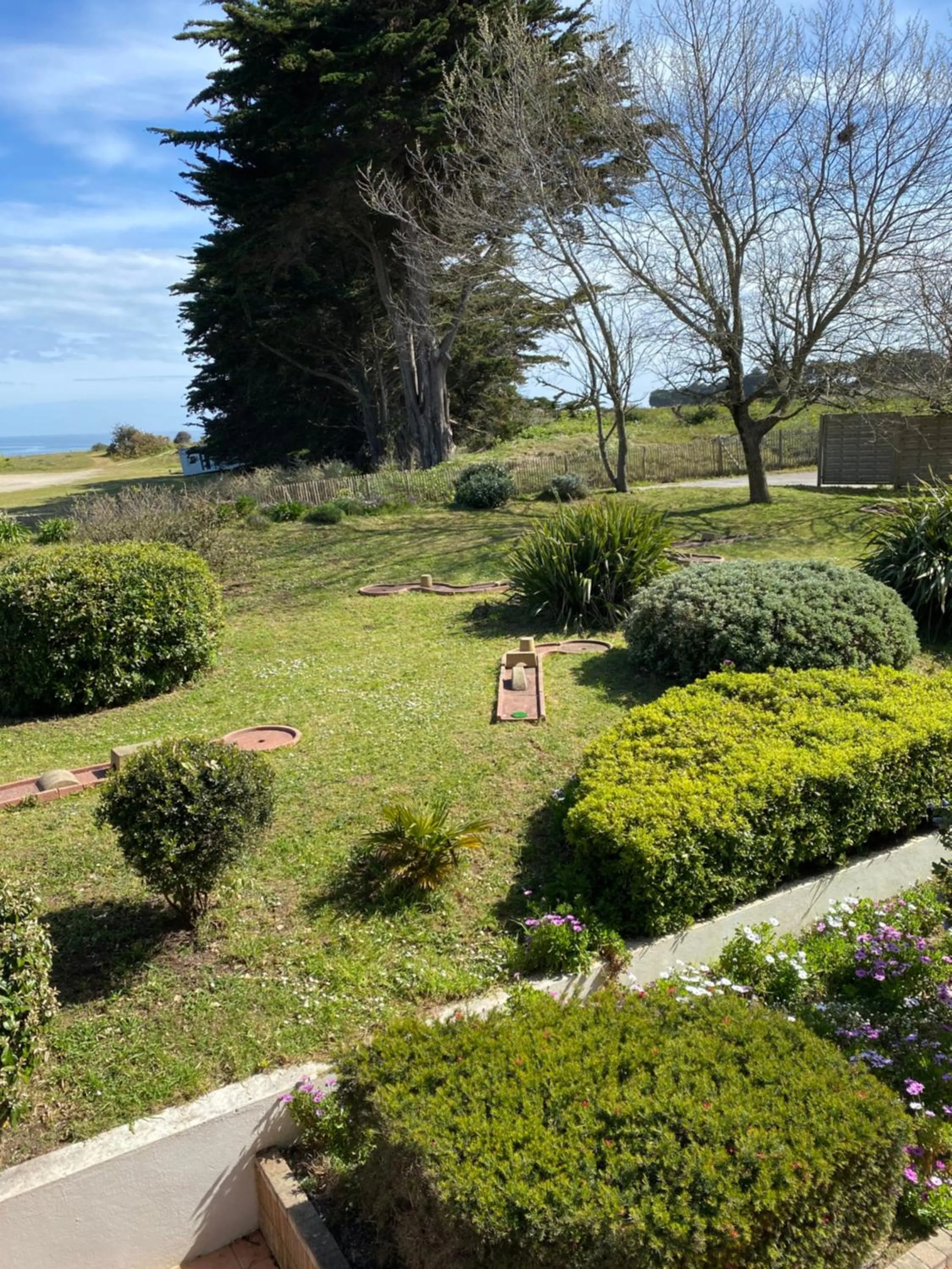 Garden in Hotel Europa