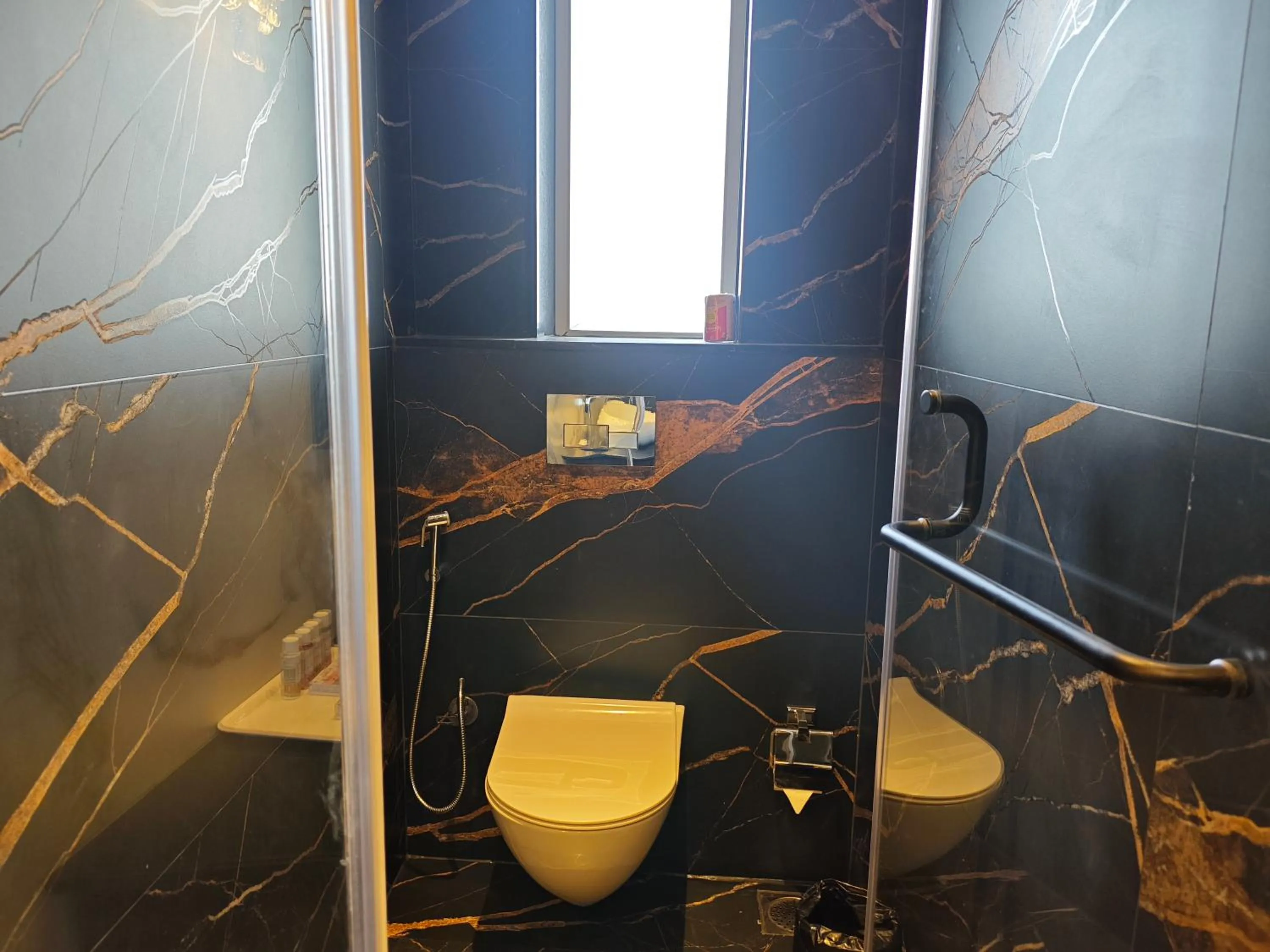 Toilet in Manas Lifestyle Resort Igatpuri