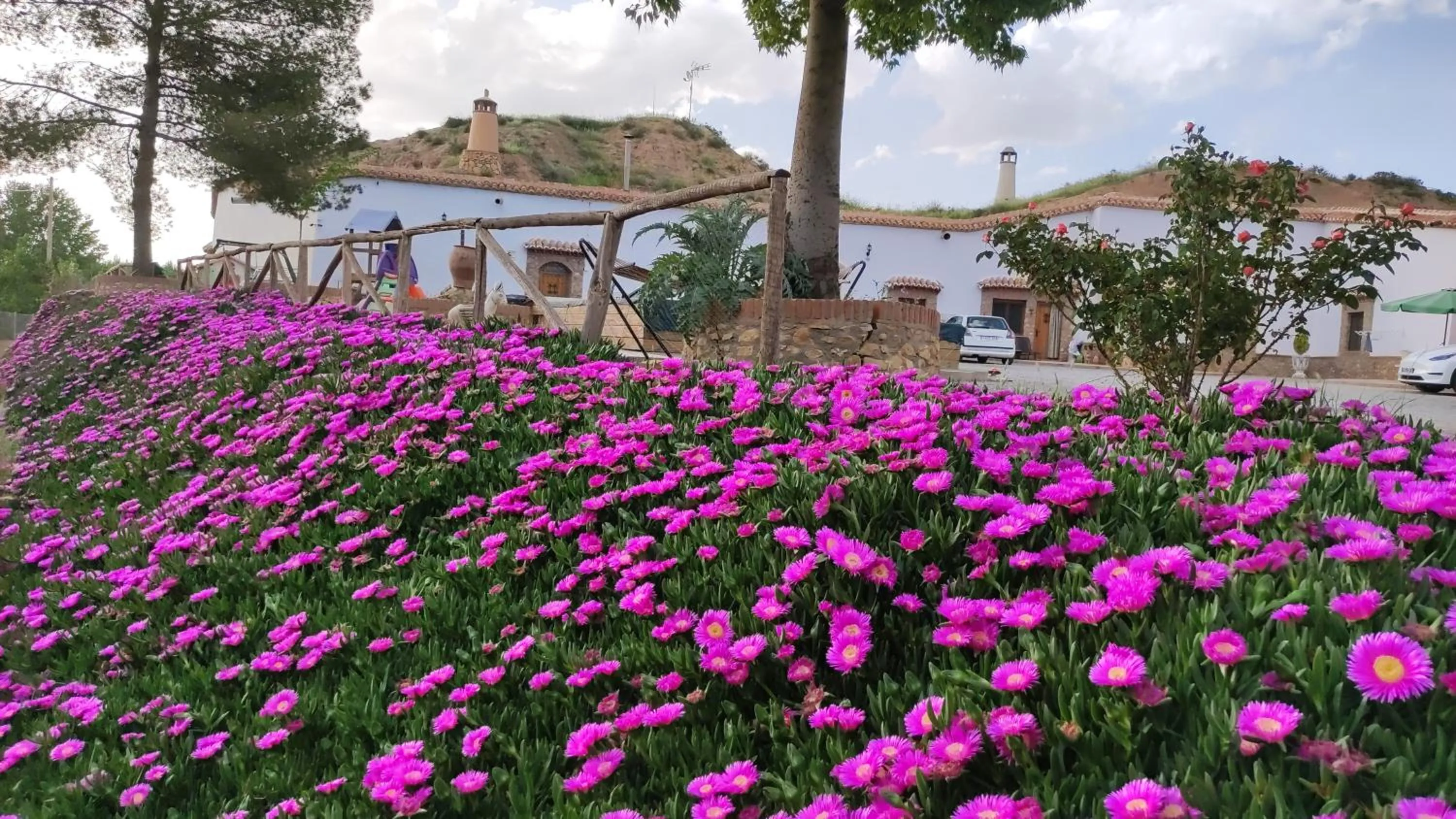Garden view in Cuevas Cortijo Gachas