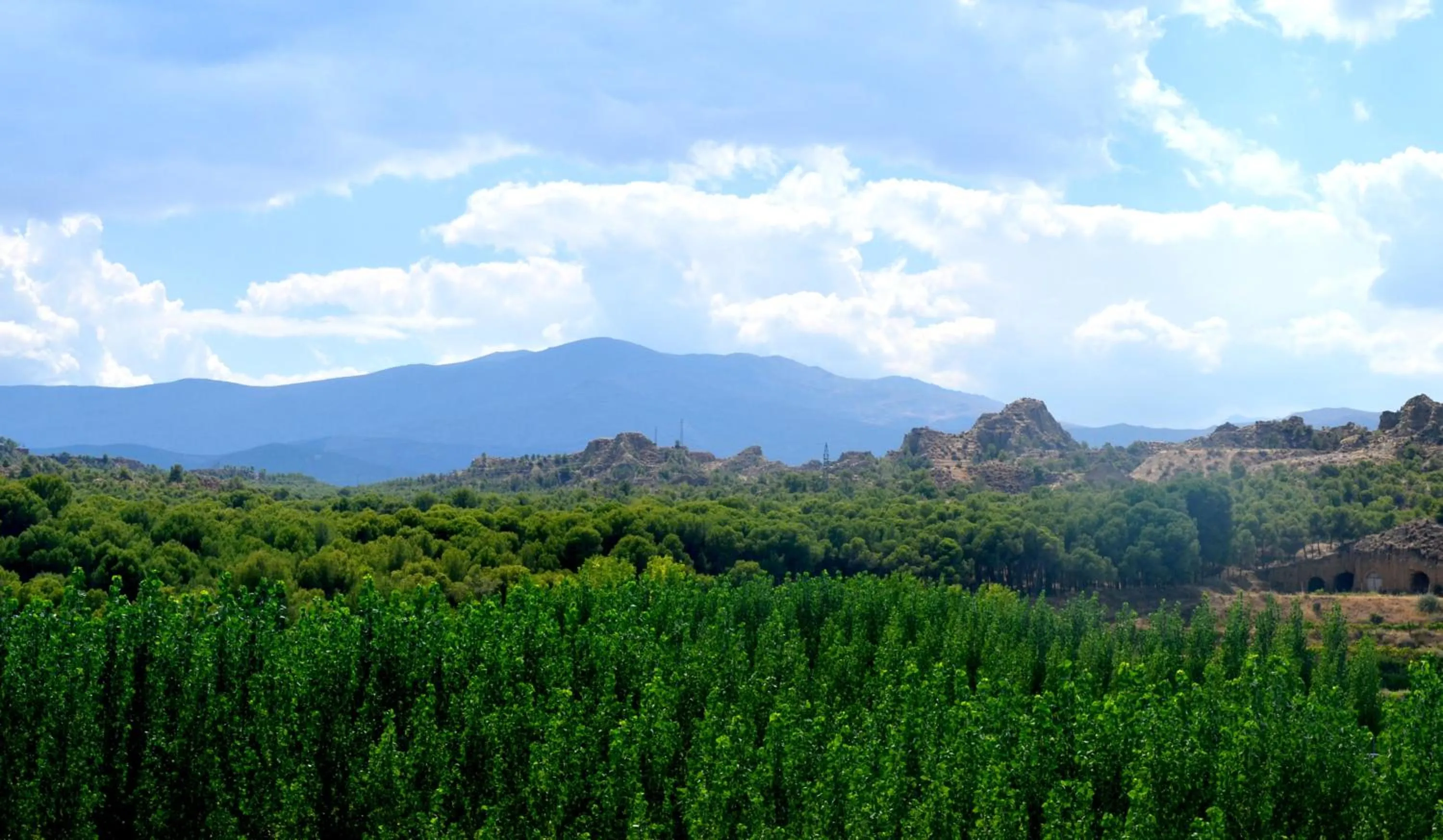 Cuevas Cortijo Gachas